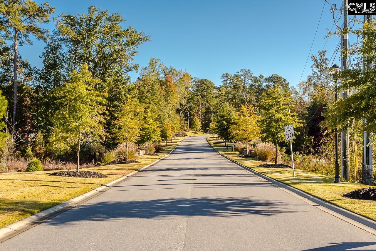412 Rainbow Shad Way Lexington, SC 29072