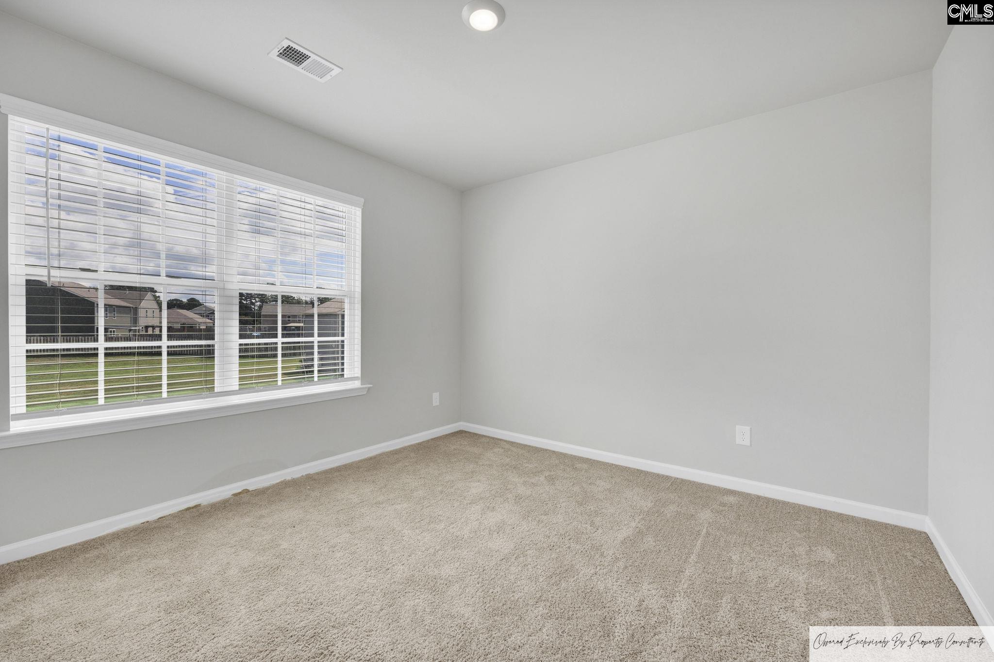 148 Rushton Drive Chapin, SC 29036