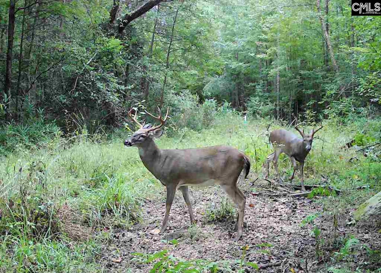 Brookhill East Lexington, SC 29072