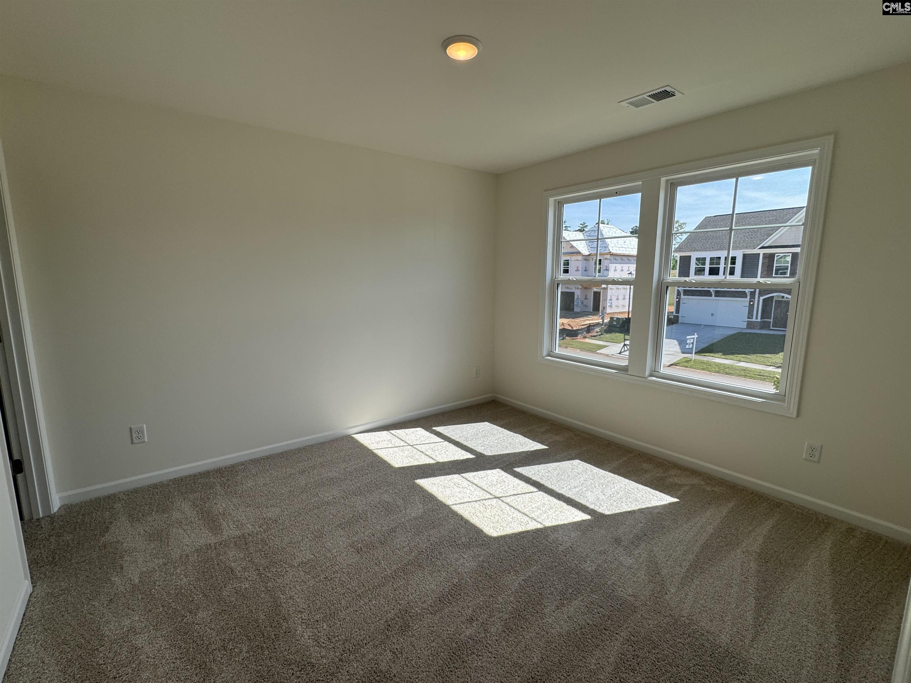 538 Griffon Drive Chapin, SC 29036