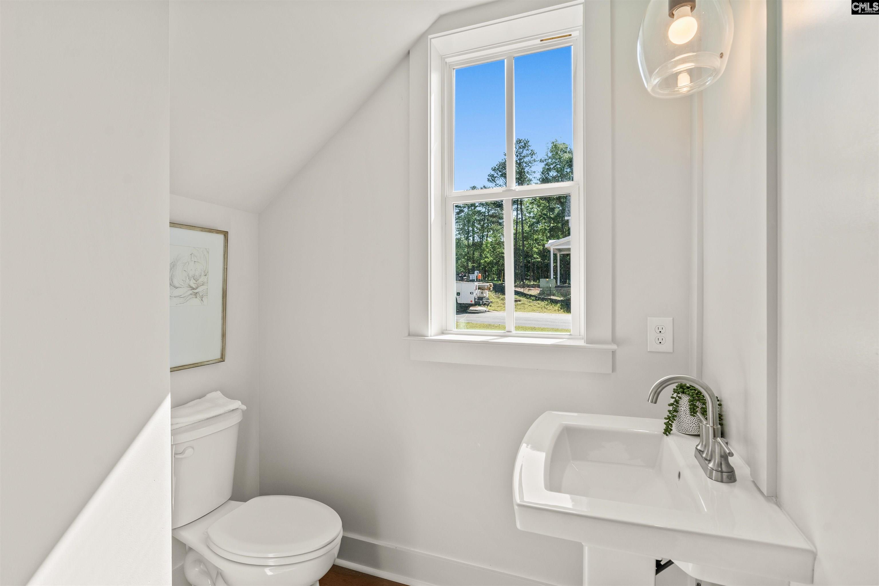 603 Misty Banks Drive Chapin, SC 29036