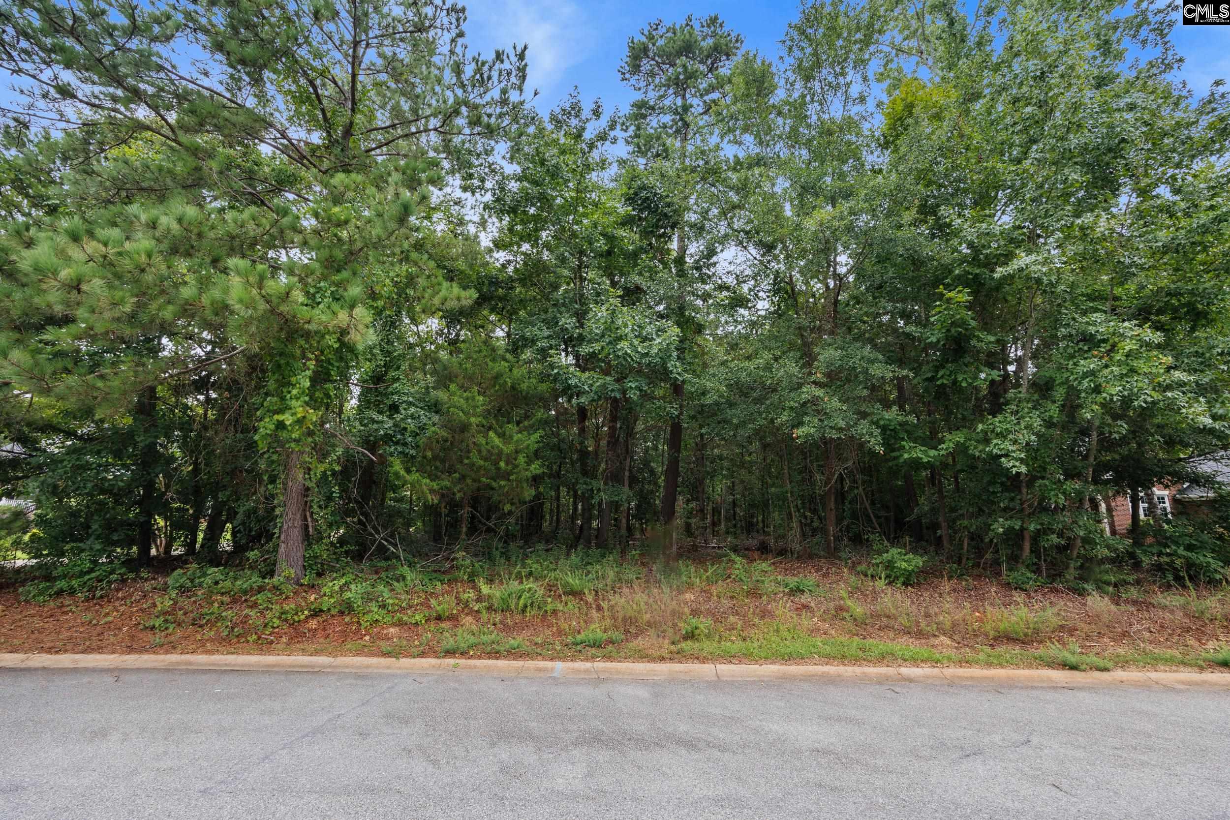 374 Poindexter Lane Lexington, SC 29072