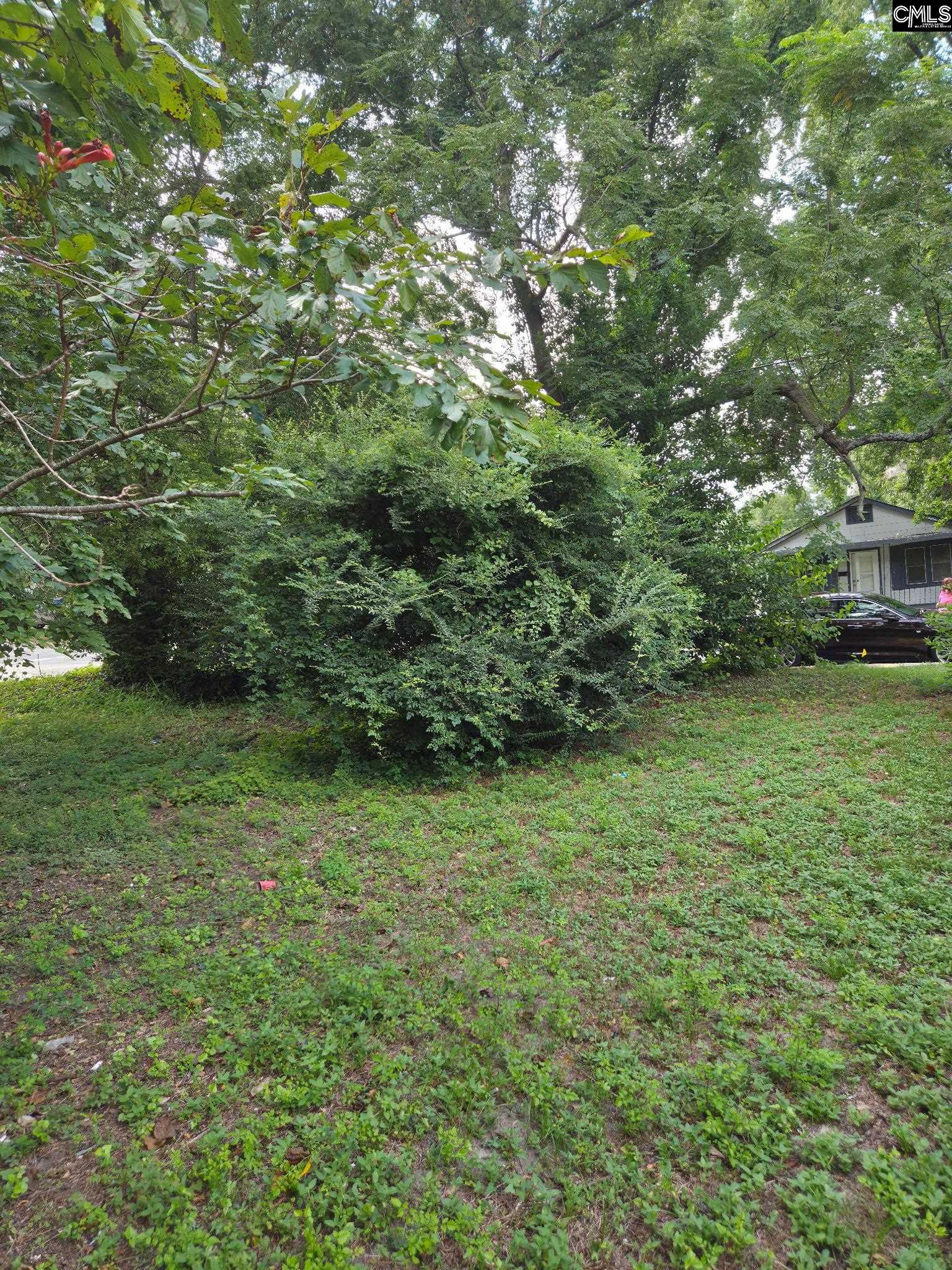 3504 Piedmont Avenue Columbia, SC 29203