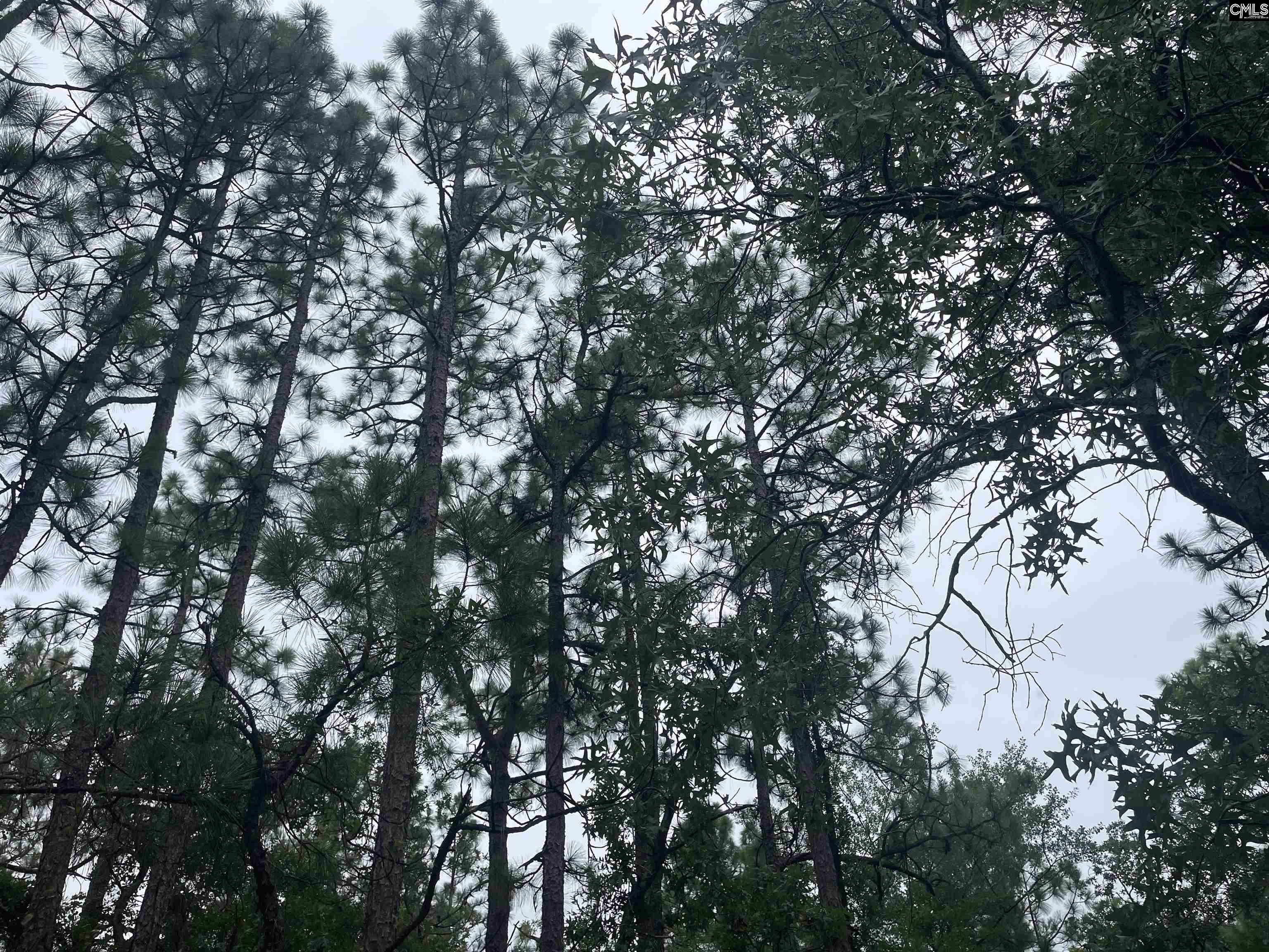 Calvary Church Road Swansea, SC 29160