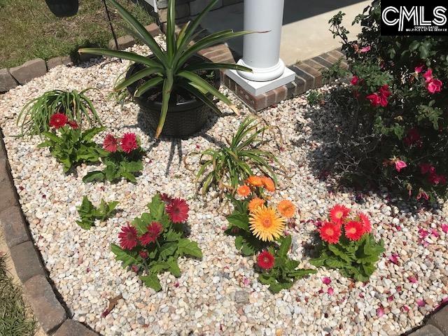 515 Crassula Drive Lexington, SC 29073-6831