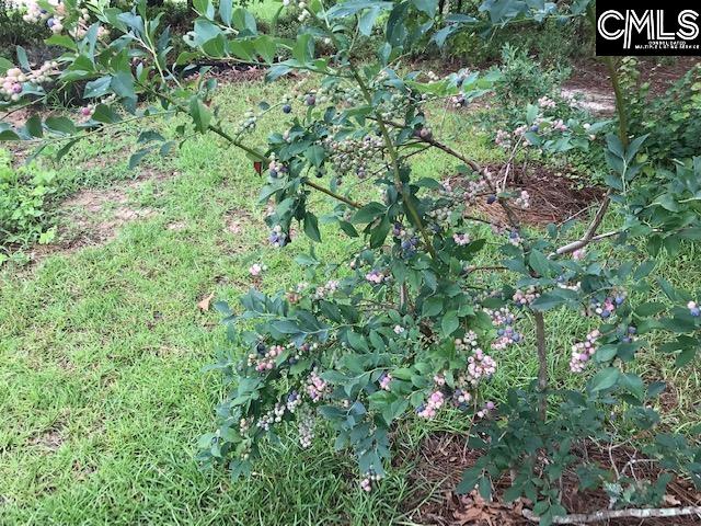 515 Crassula Drive Lexington, SC 29073-6831