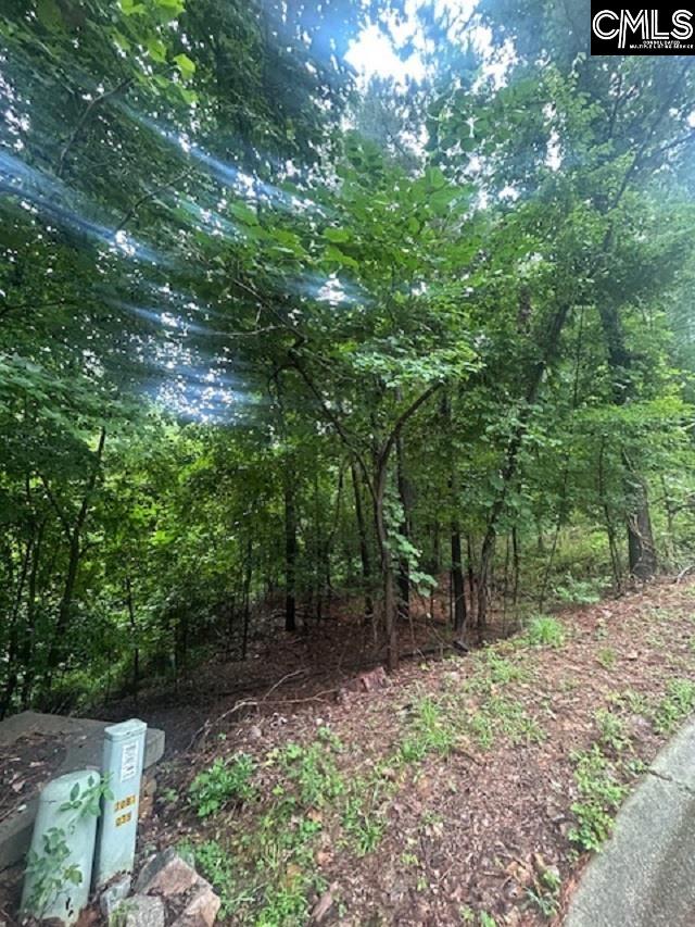 308 Bryars Court UNIT #39 Lexington, SC 29072