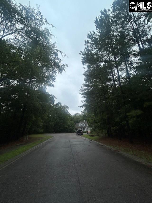 308 Bryars Court UNIT #39 Lexington, SC 29072