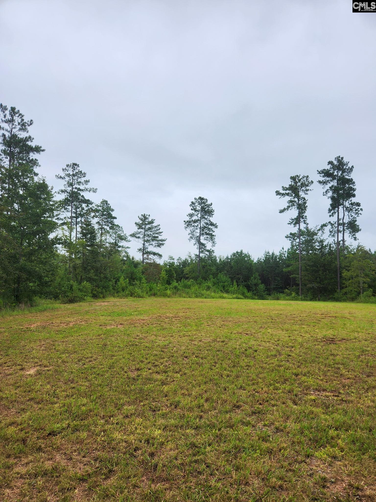 203 Legend Drive Saluda, SC 29138