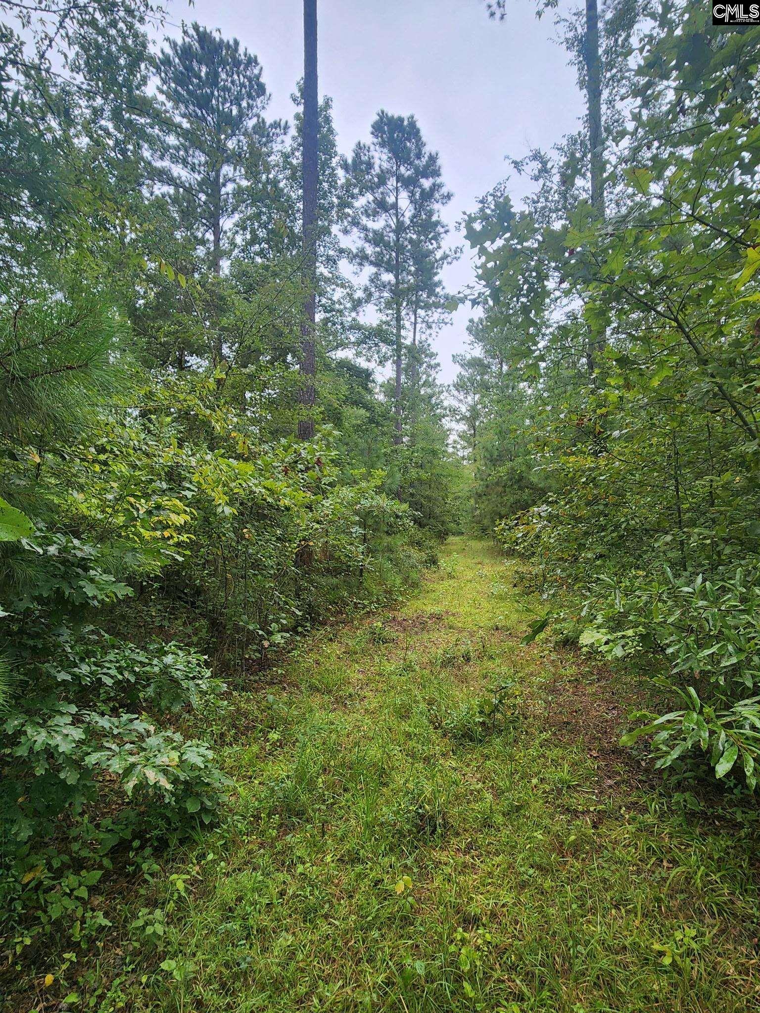 203 Legend Drive Saluda, SC 29138