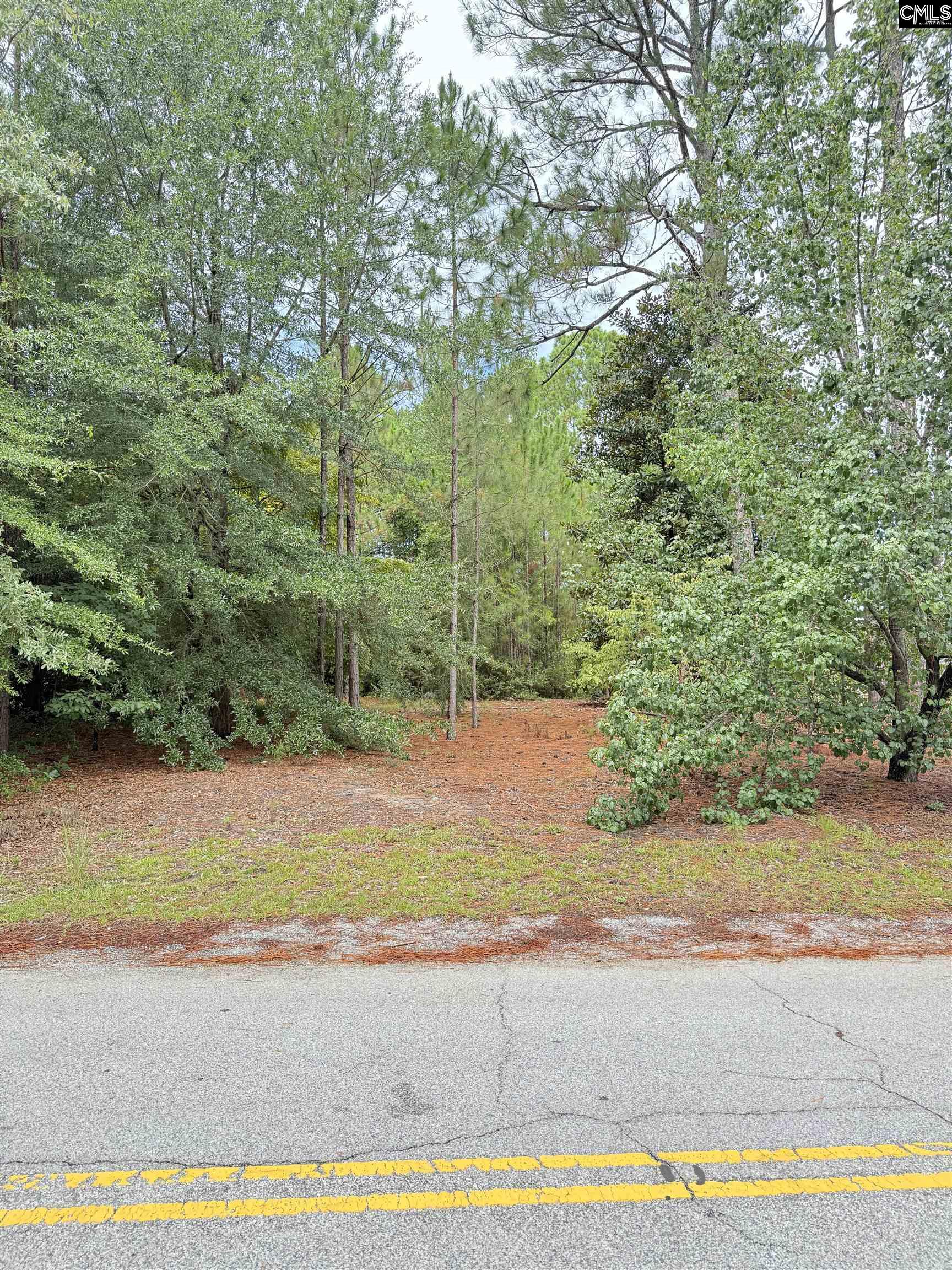 2413 Bermuda Hills Road Columbia, SC 29223-6807