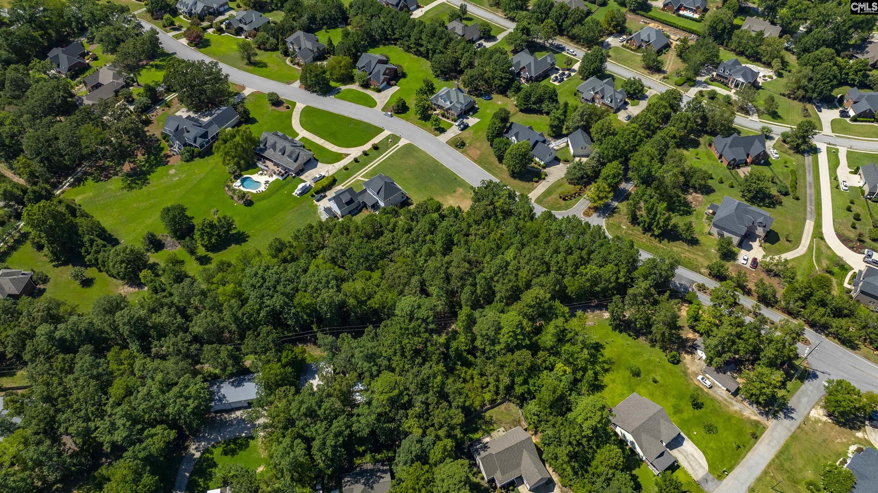 409 Caro Lane UNIT #109 Chapin, SC 29036