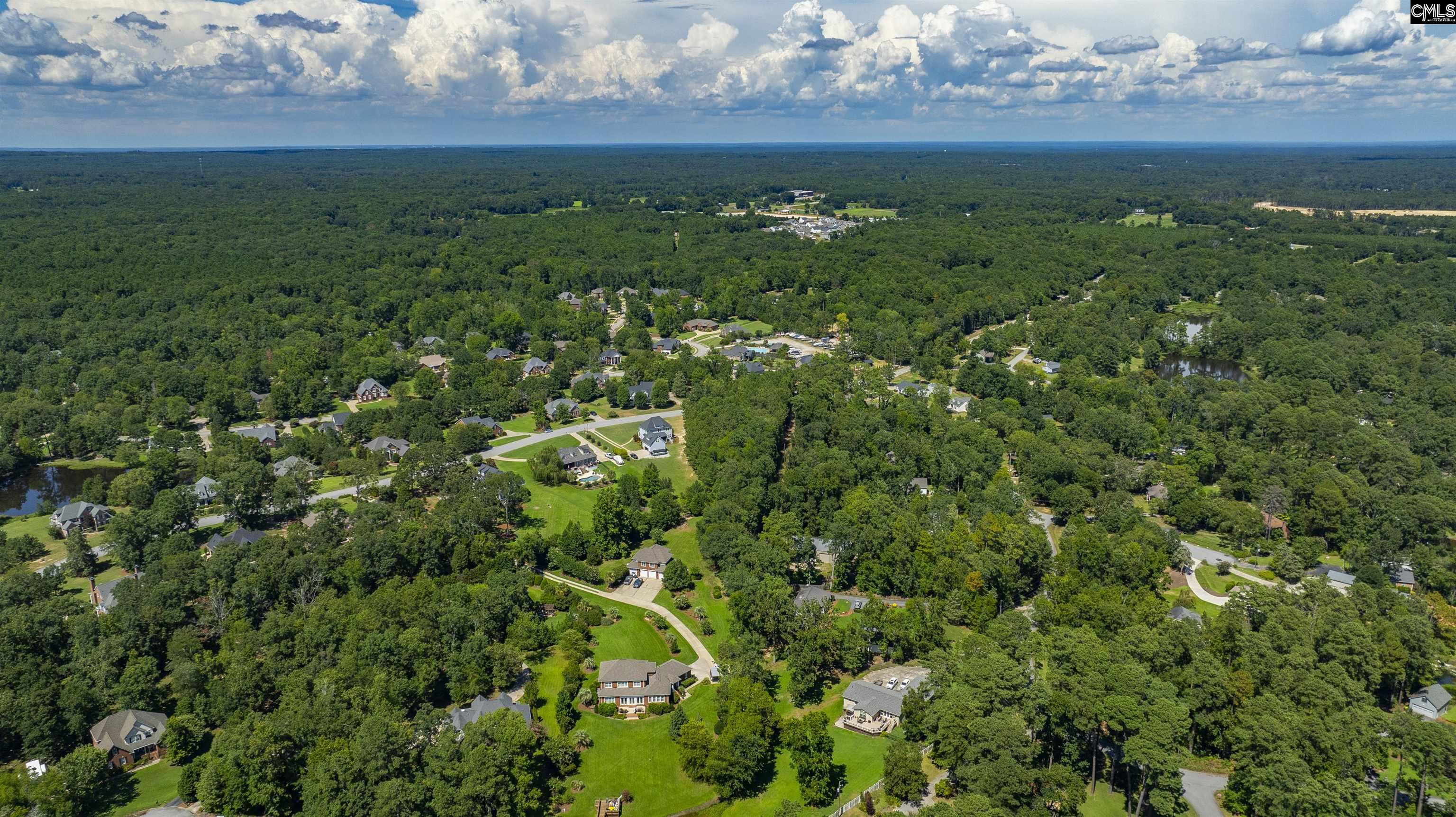 409 Caro Lane UNIT #109 Chapin, SC 29036