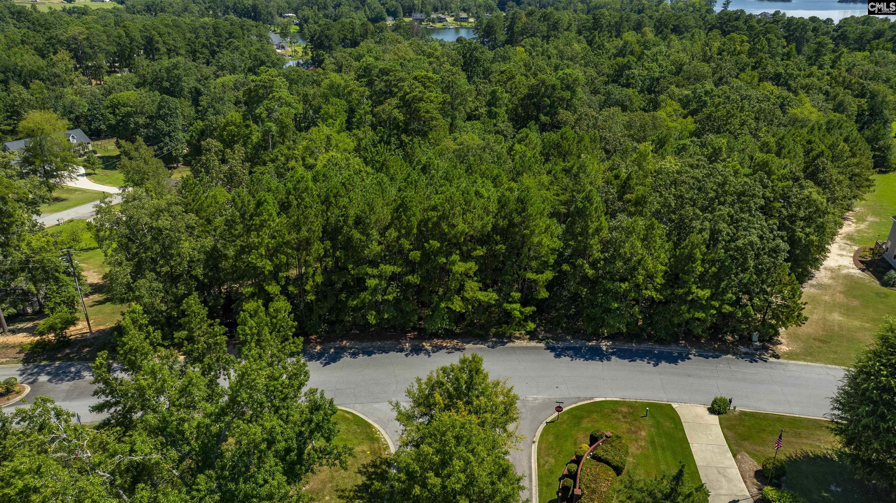 409 Caro Lane UNIT #109 Chapin, SC 29036
