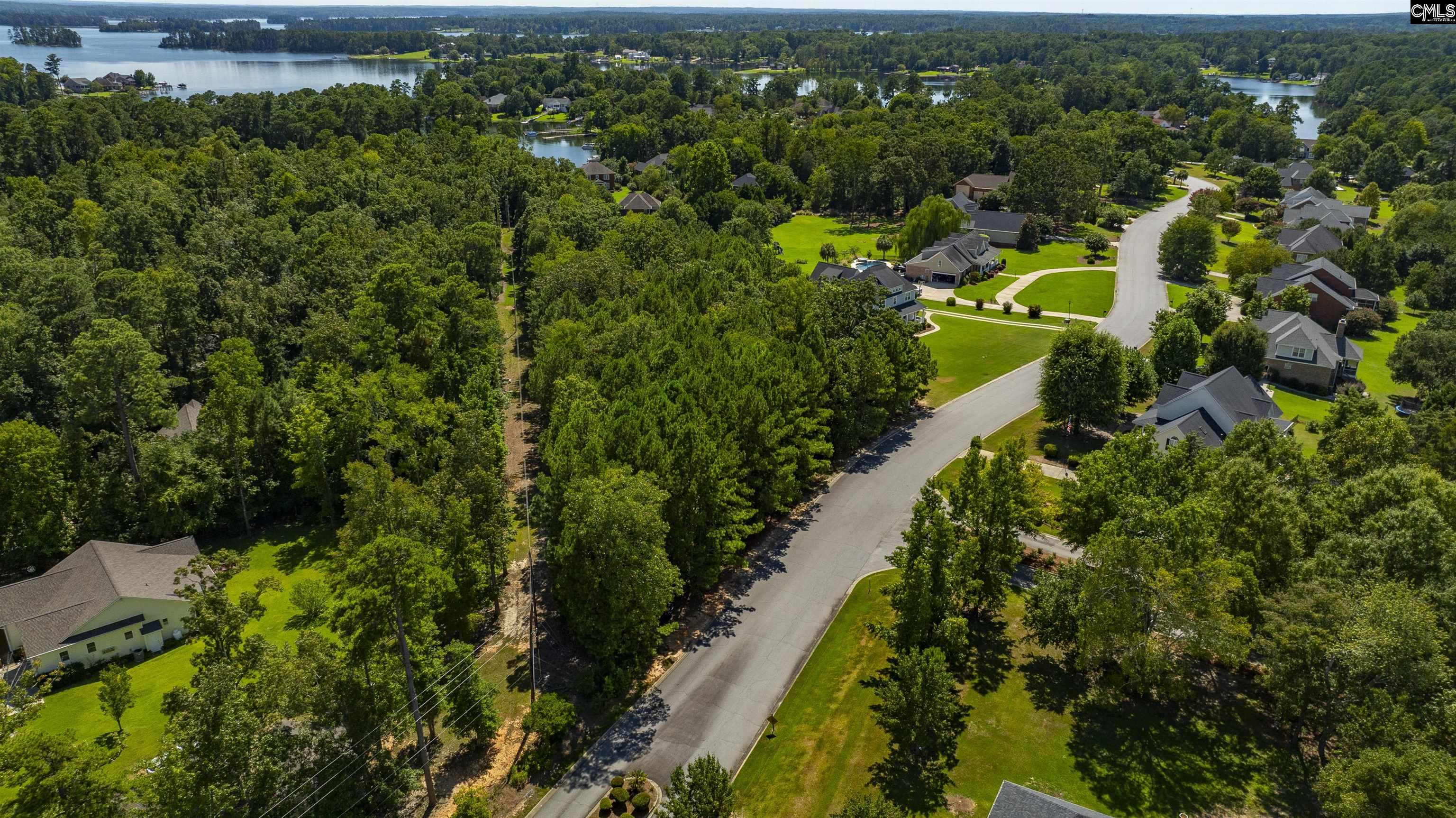 409 Caro Lane UNIT #109 Chapin, SC 29036