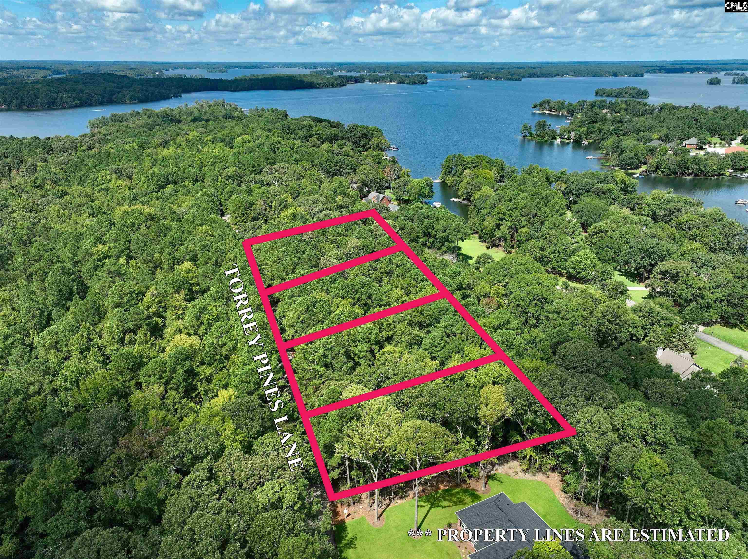 155A Torrey Pines Chapin, SC 29036