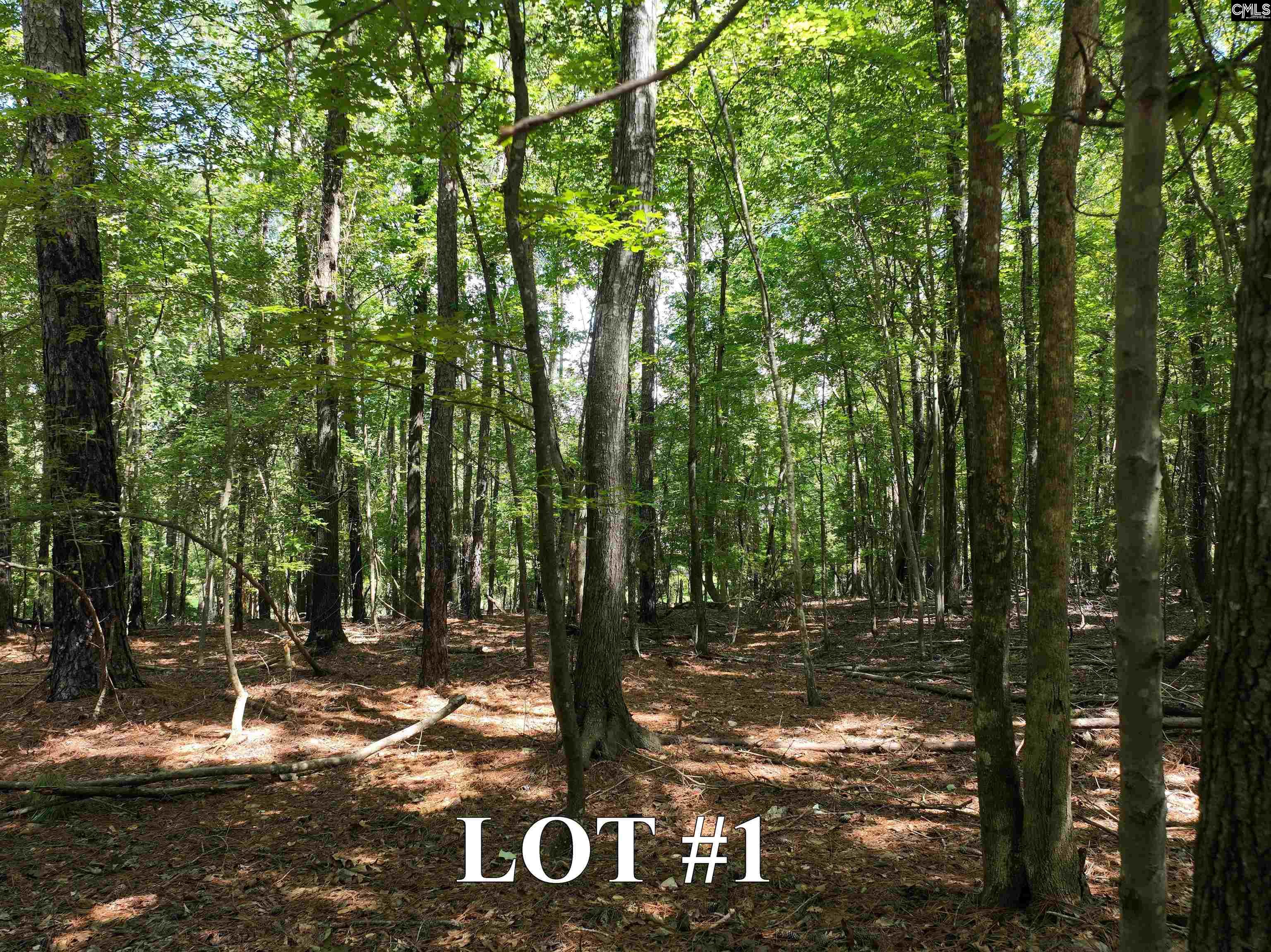 155A Torrey Pines Chapin, SC 29036