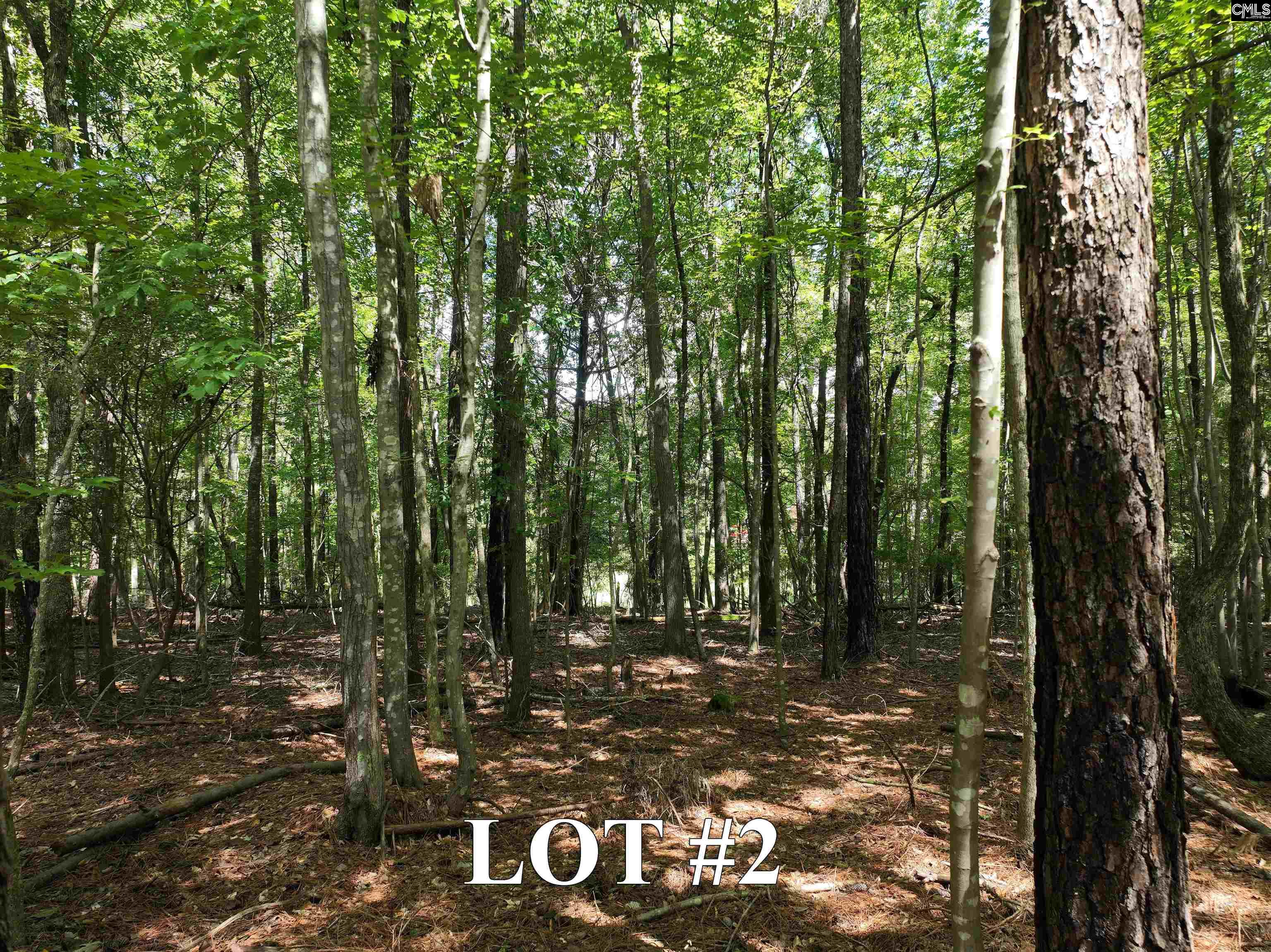 155A Torrey Pines Chapin, SC 29036