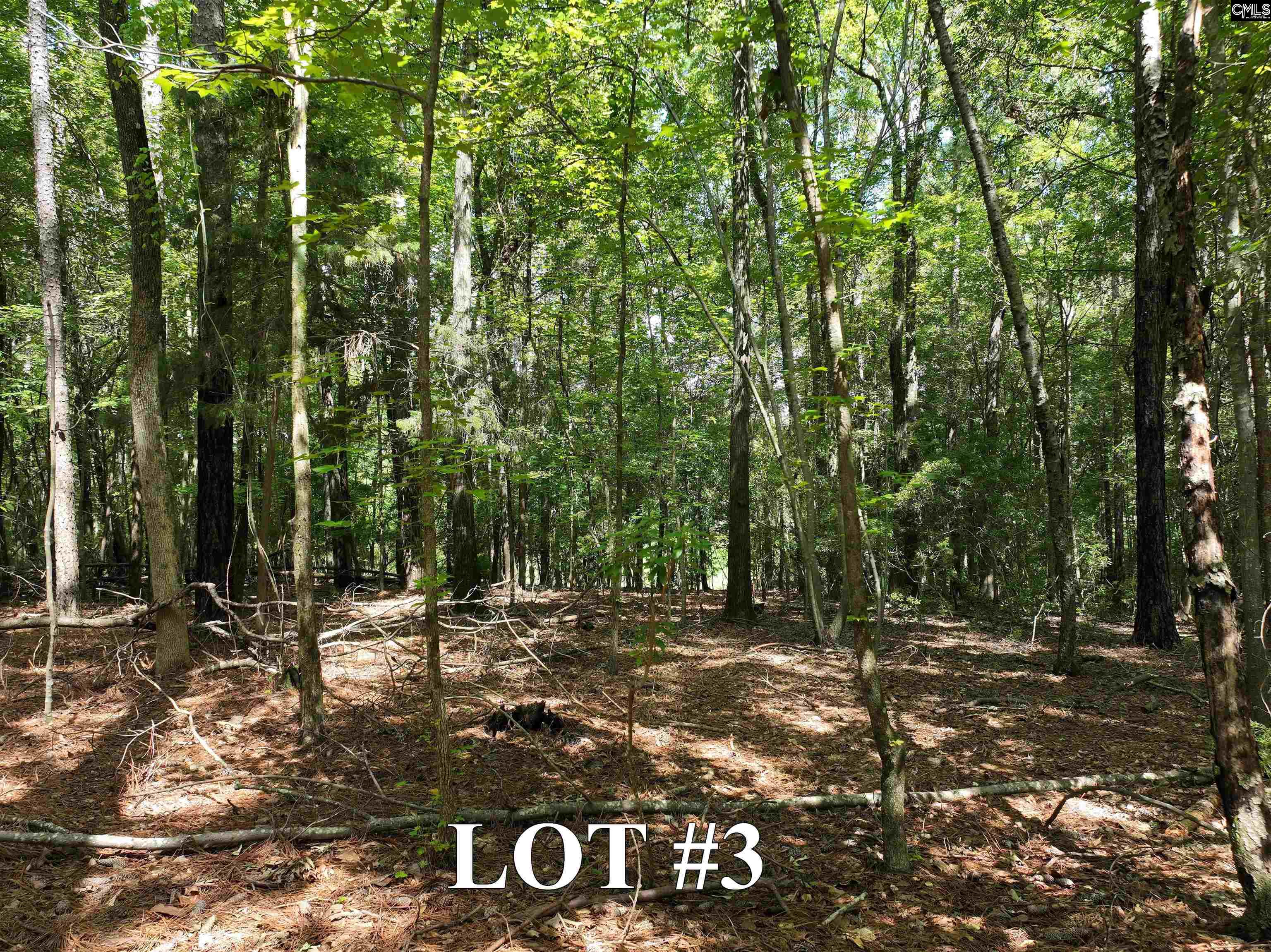 155A Torrey Pines Chapin, SC 29036