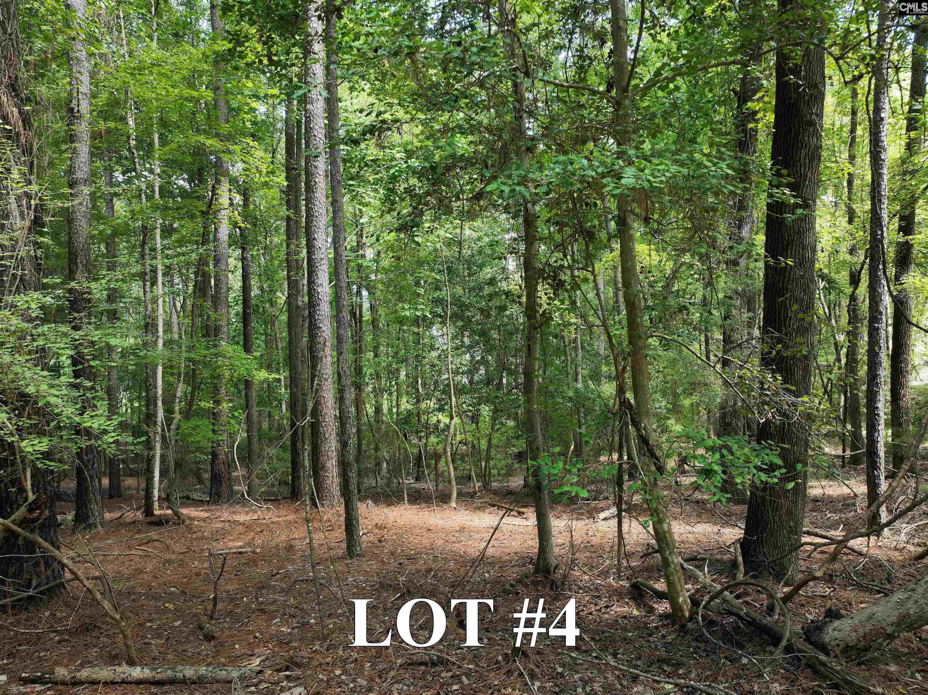 155A Torrey Pines Chapin, SC 29036