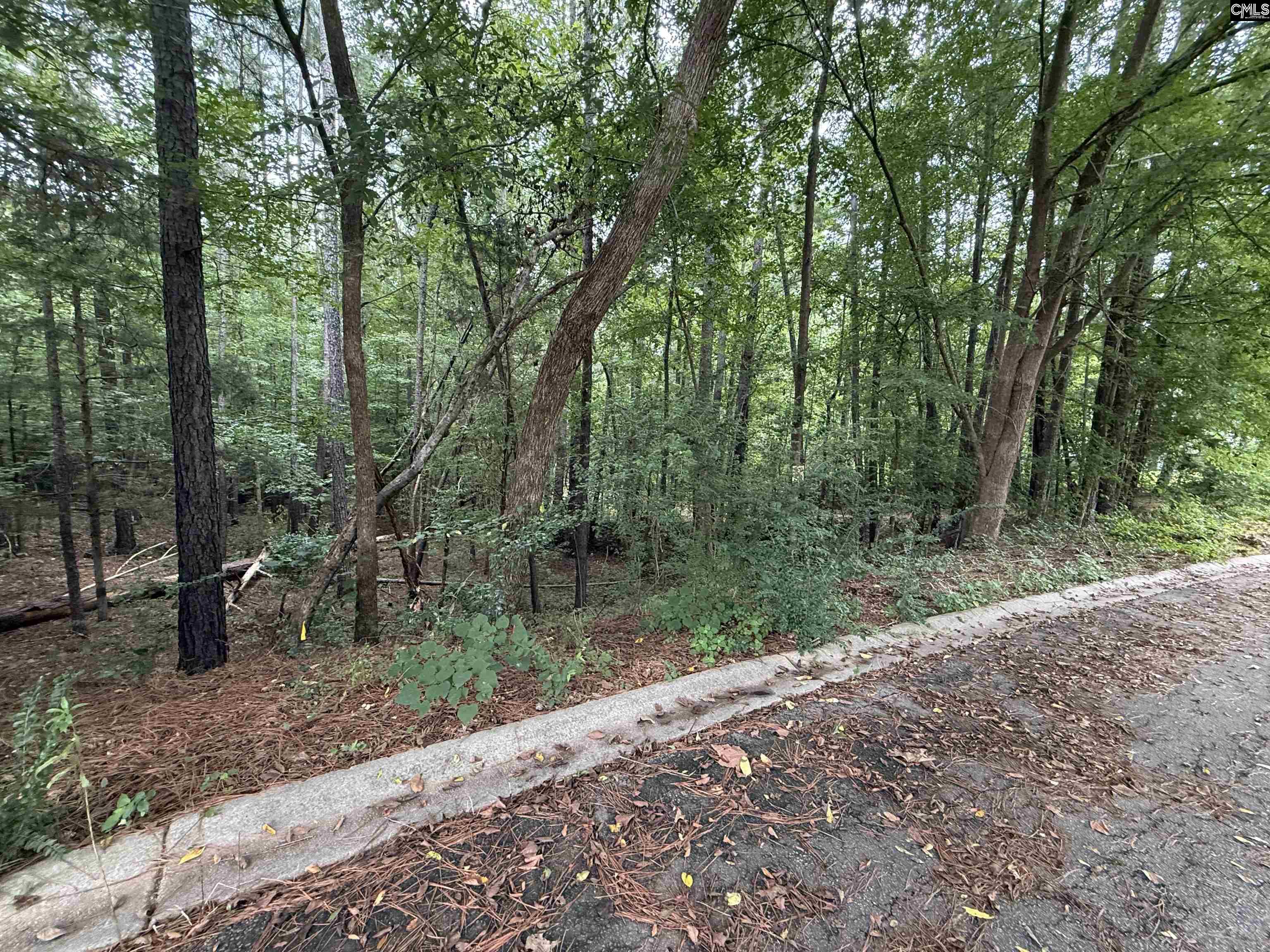 TBD Timberlane Drive Winnsboro, SC 29180