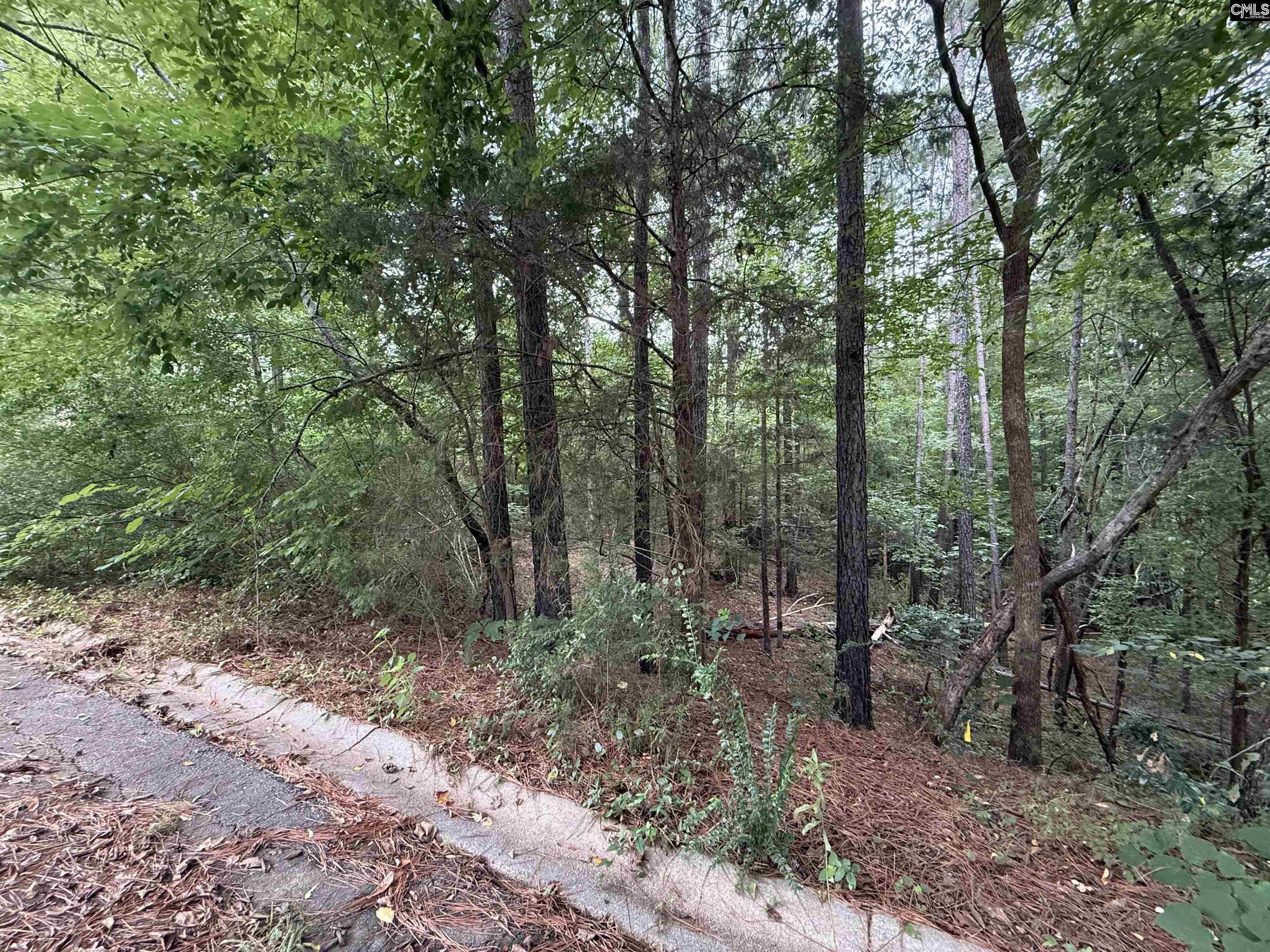 TBD Timberlane Drive Winnsboro, SC 29180