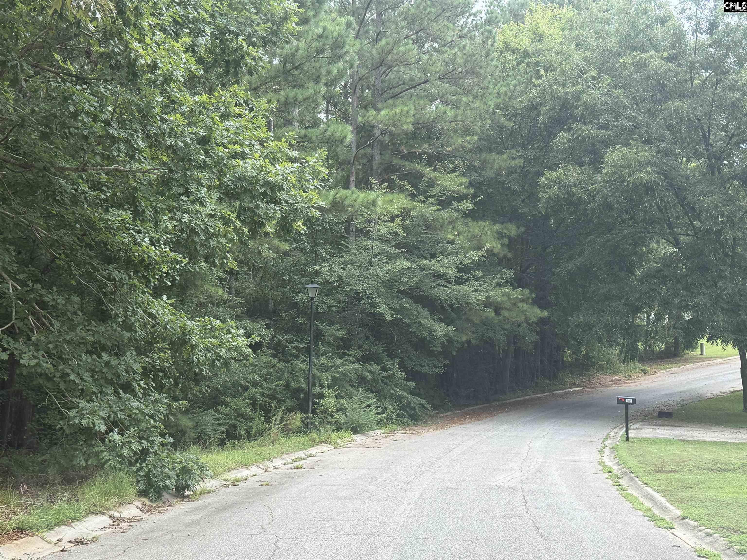TBD Timberlane Drive Winnsboro, SC 29180