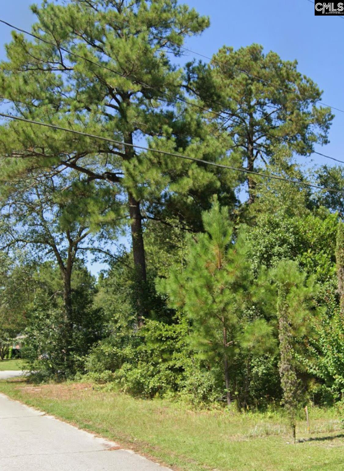 221 Lloydwood Drive Lexington, SC 29172