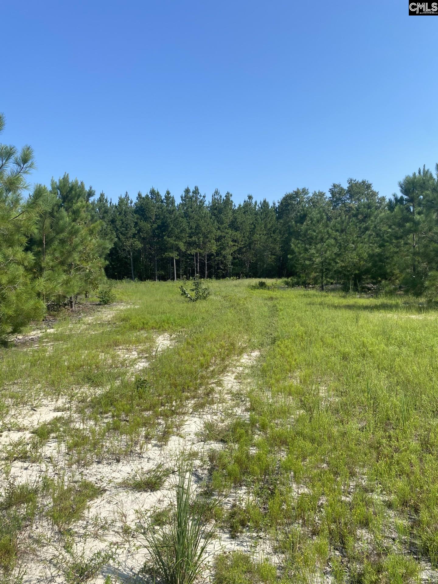 3109 Arcadia Road Unit #7 Bethune, SC 29009