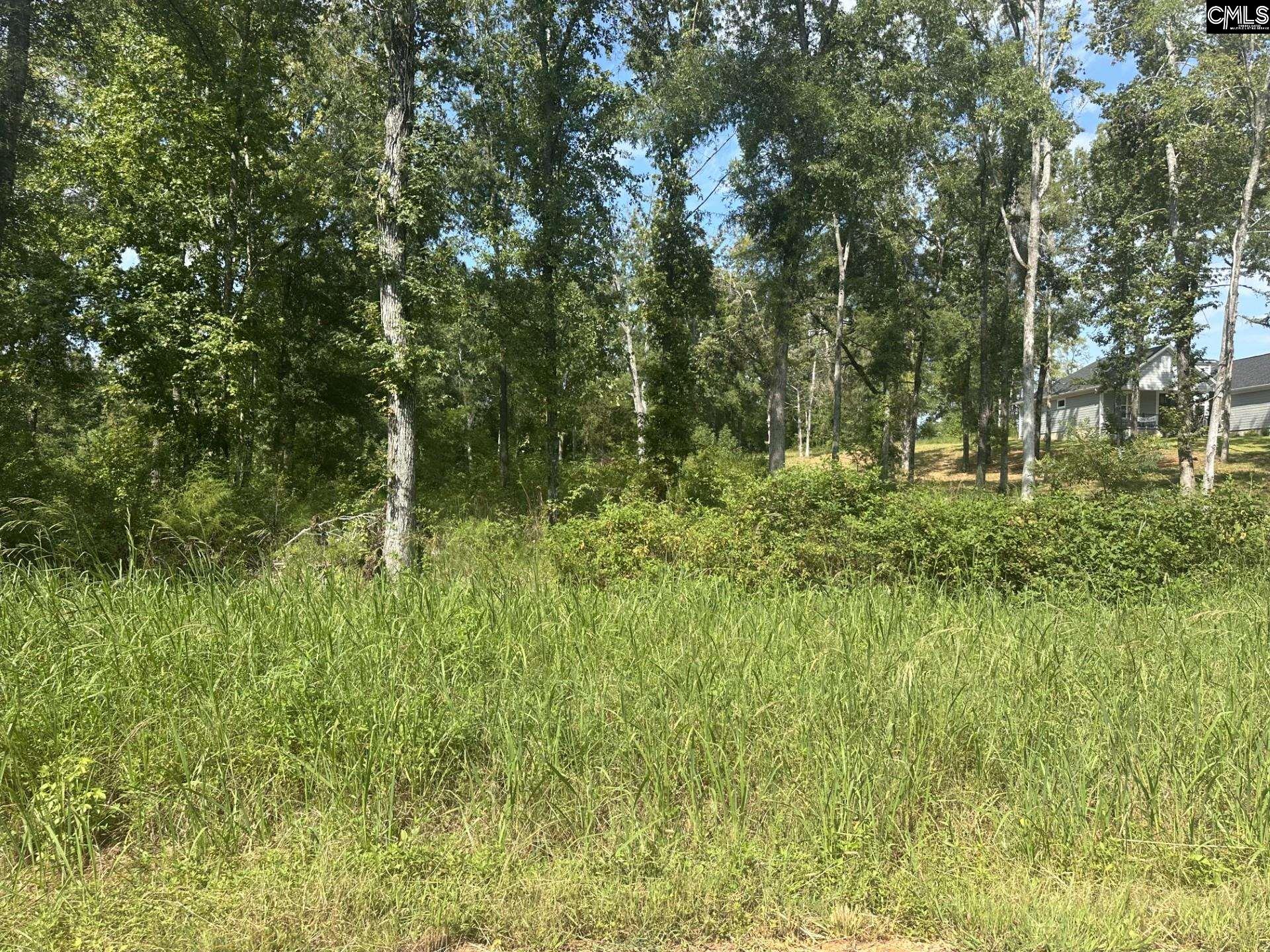 00 Seagull Lane Prosperity, SC 29127