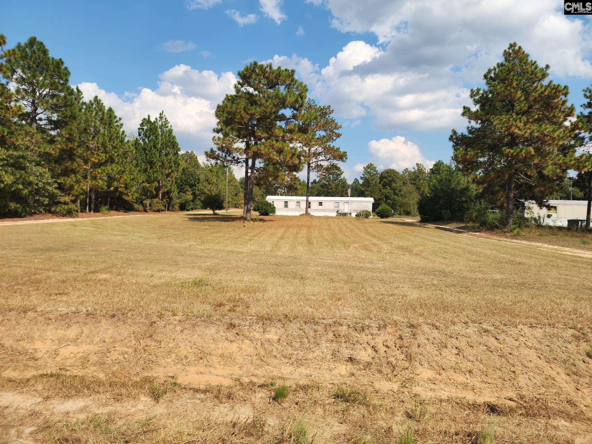 1061 Bub Shumpert Road Pelion, SC 29123