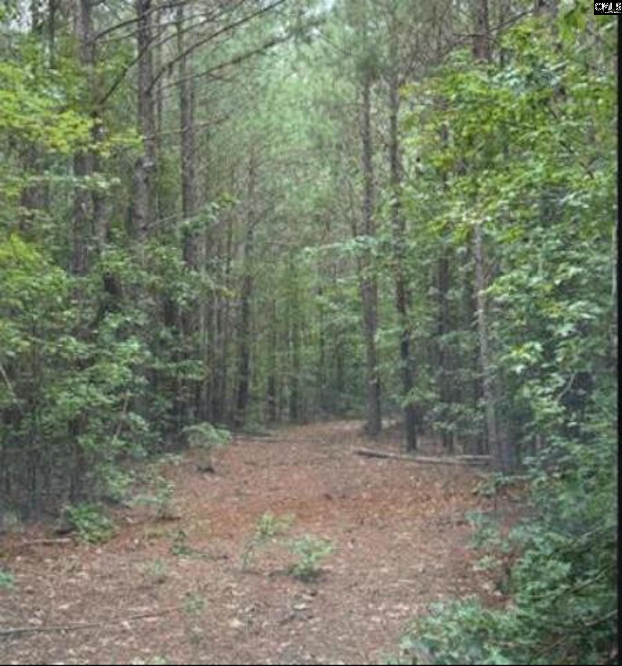 N1 Old Edgefield Road Ninety Six, SC 29666