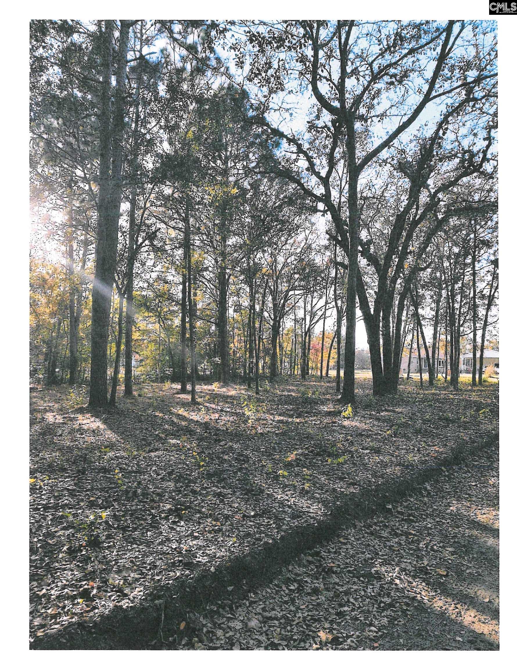 000 Maple Street Pelion, SC 29123