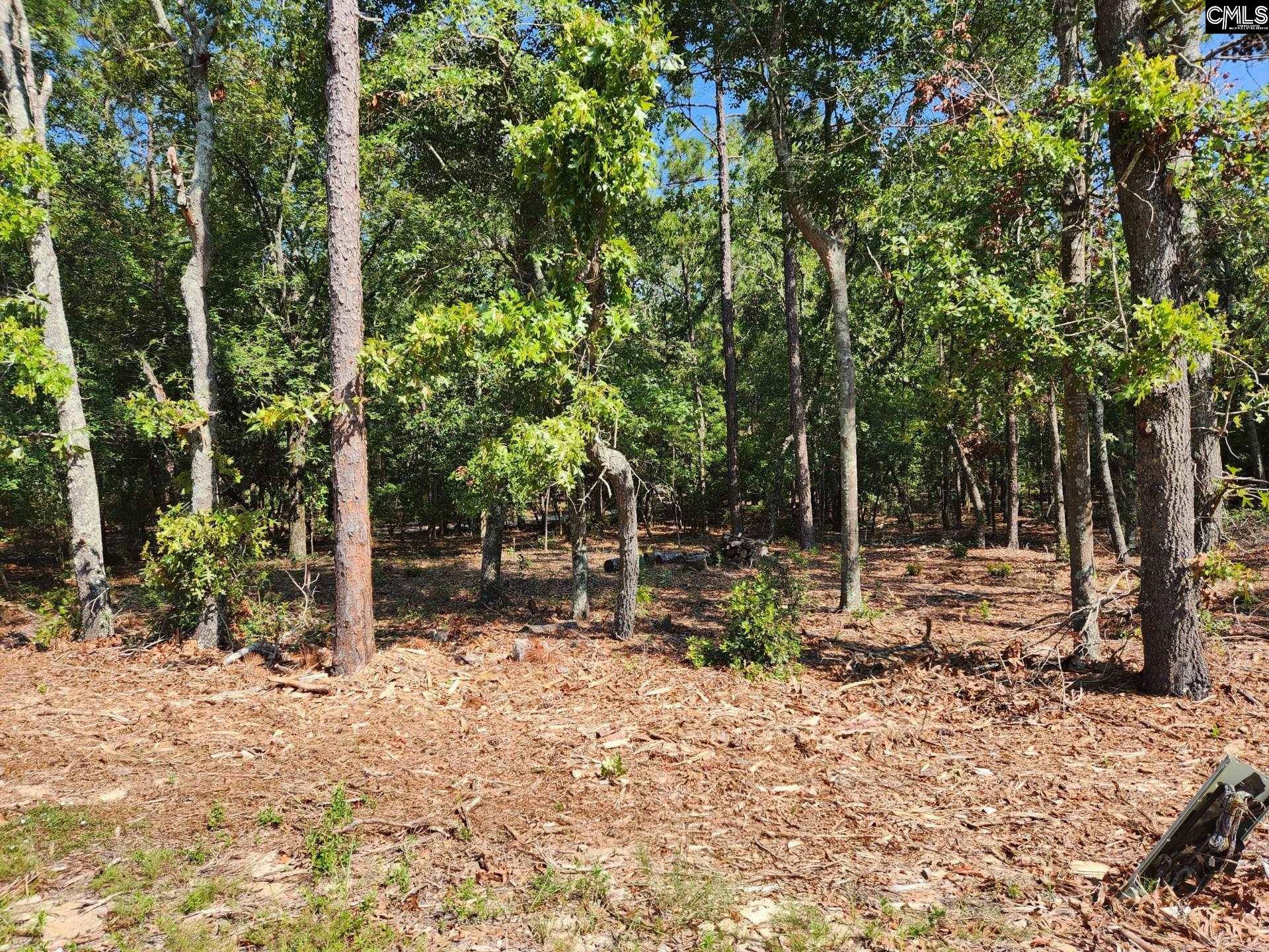 648 Calvary Church Road Swansea, SC 29160