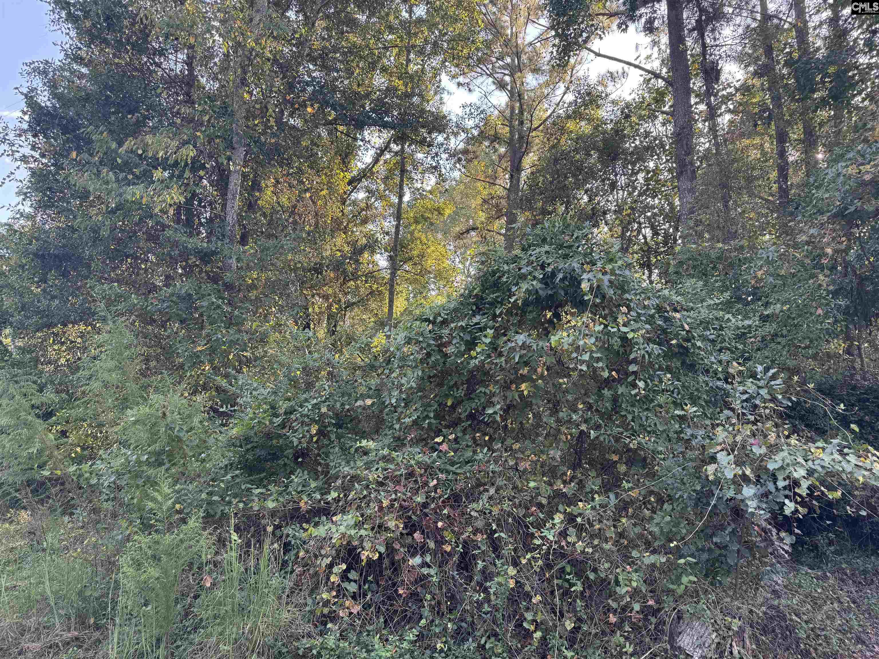 000 Quattlebaum Avenue Ridge Spring, SC 29129