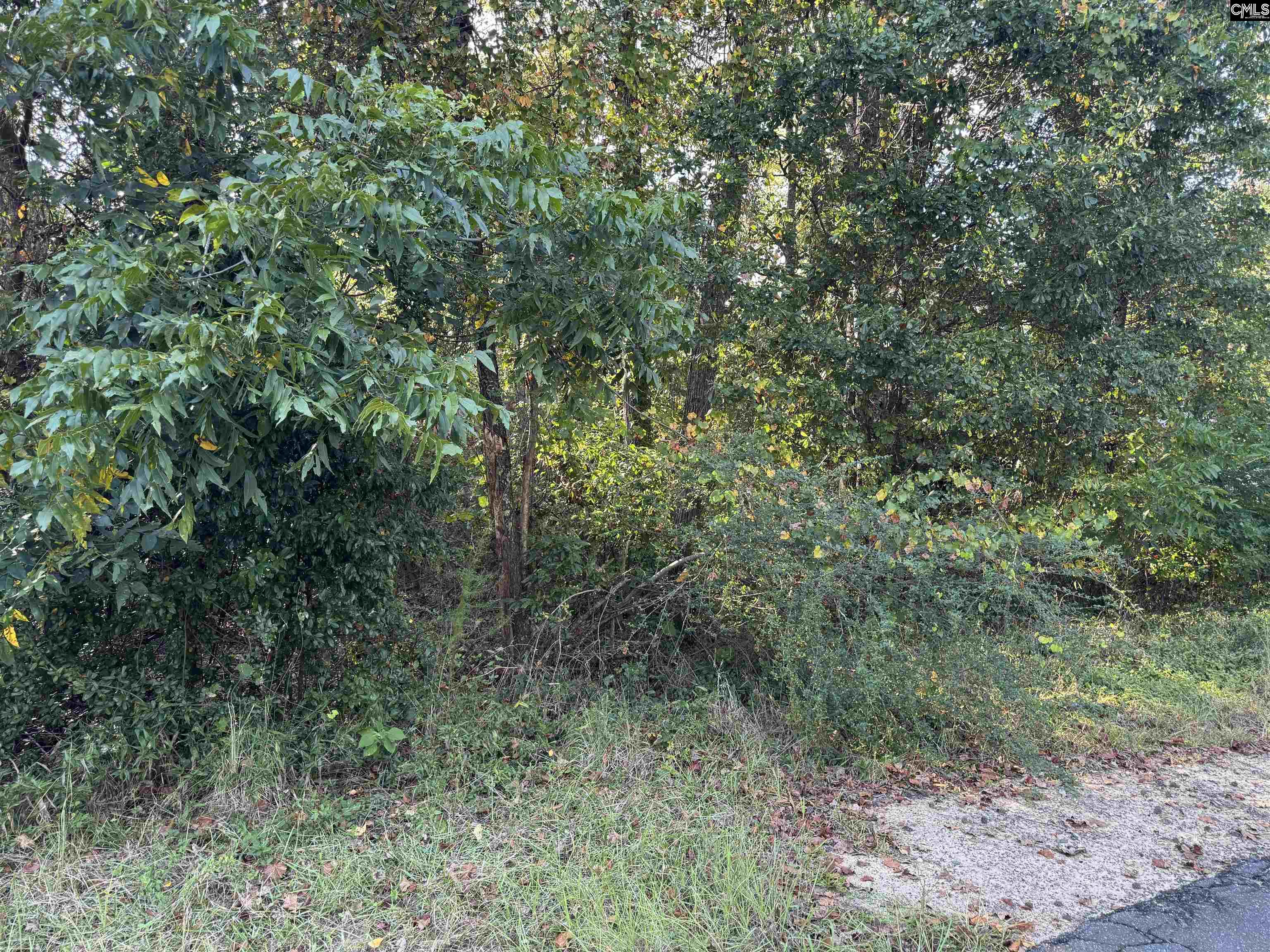 000 Quattlebaum Avenue Ridge Spring, SC 29129