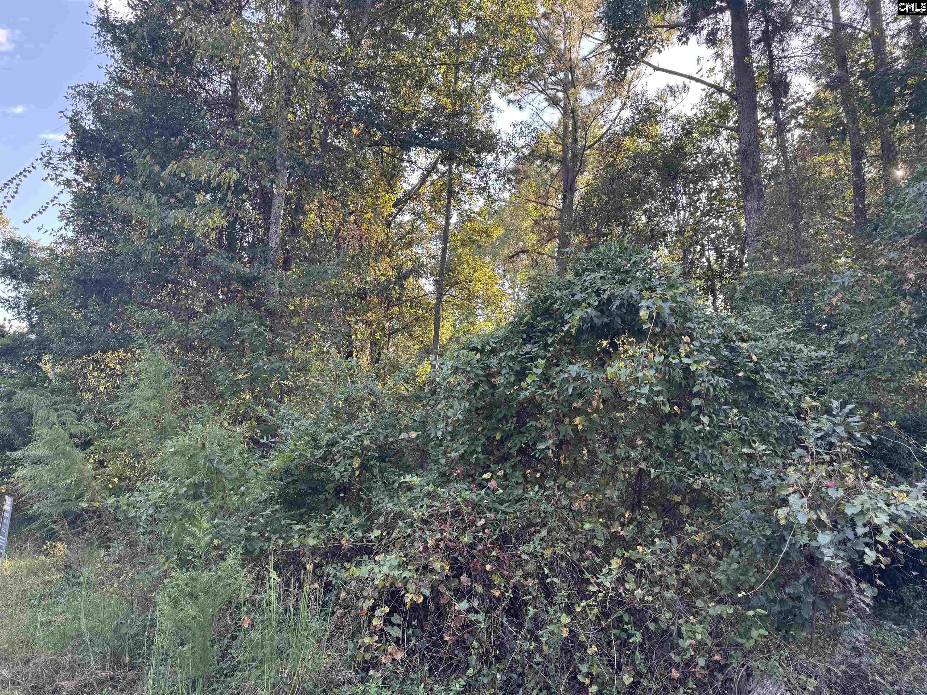 000 Quattlebaum Avenue Ridge Spring, SC 29129