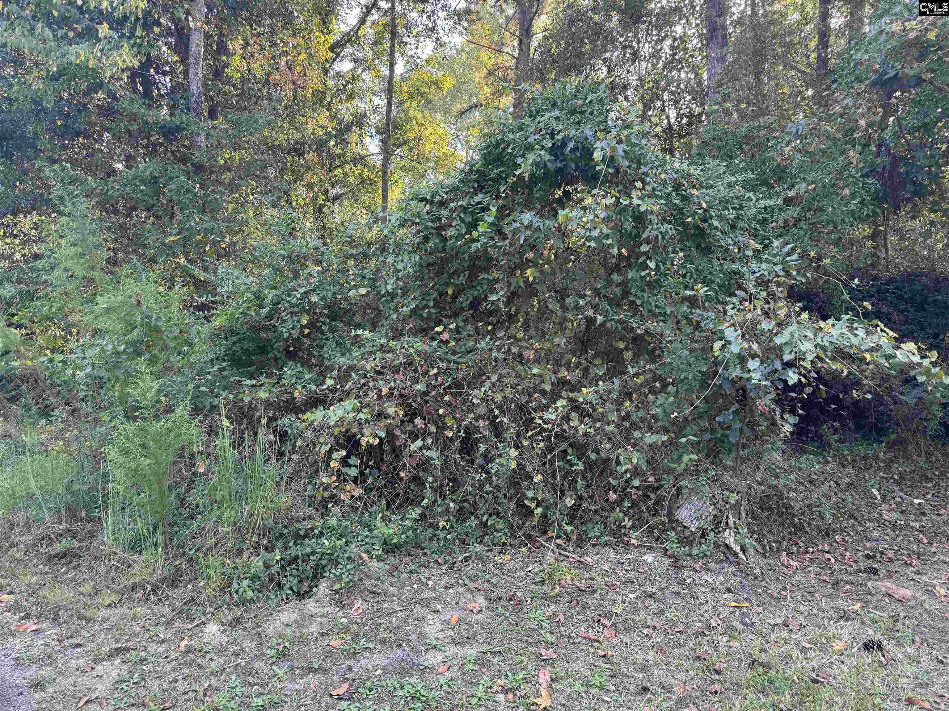 000 Quattlebaum Avenue Ridge Spring, SC 29129