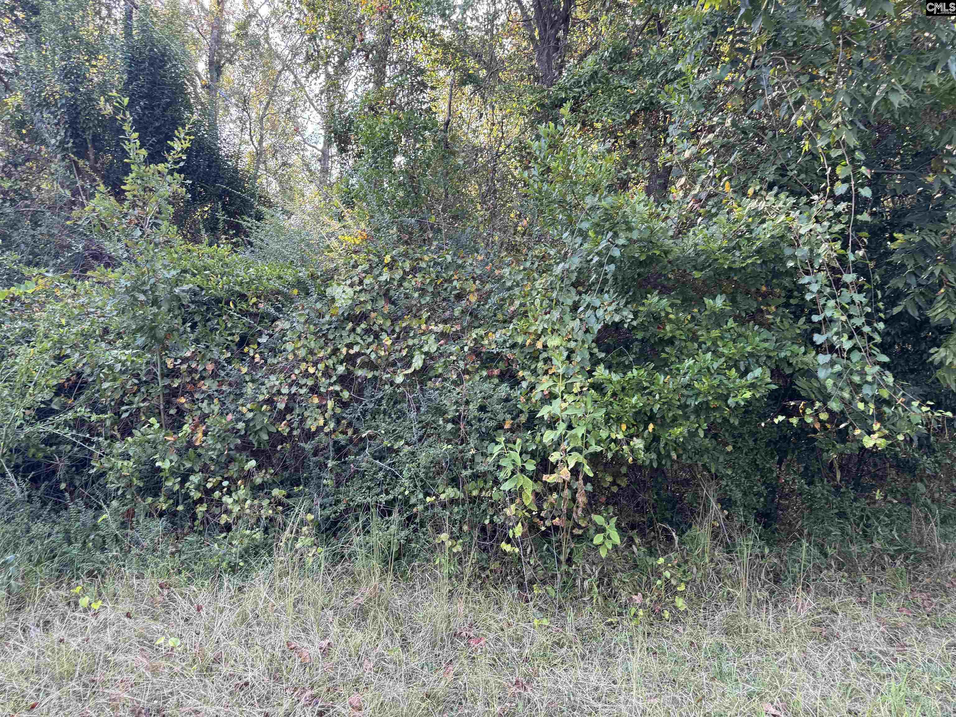 000 Quattlebaum Avenue Ridge Spring, SC 29129