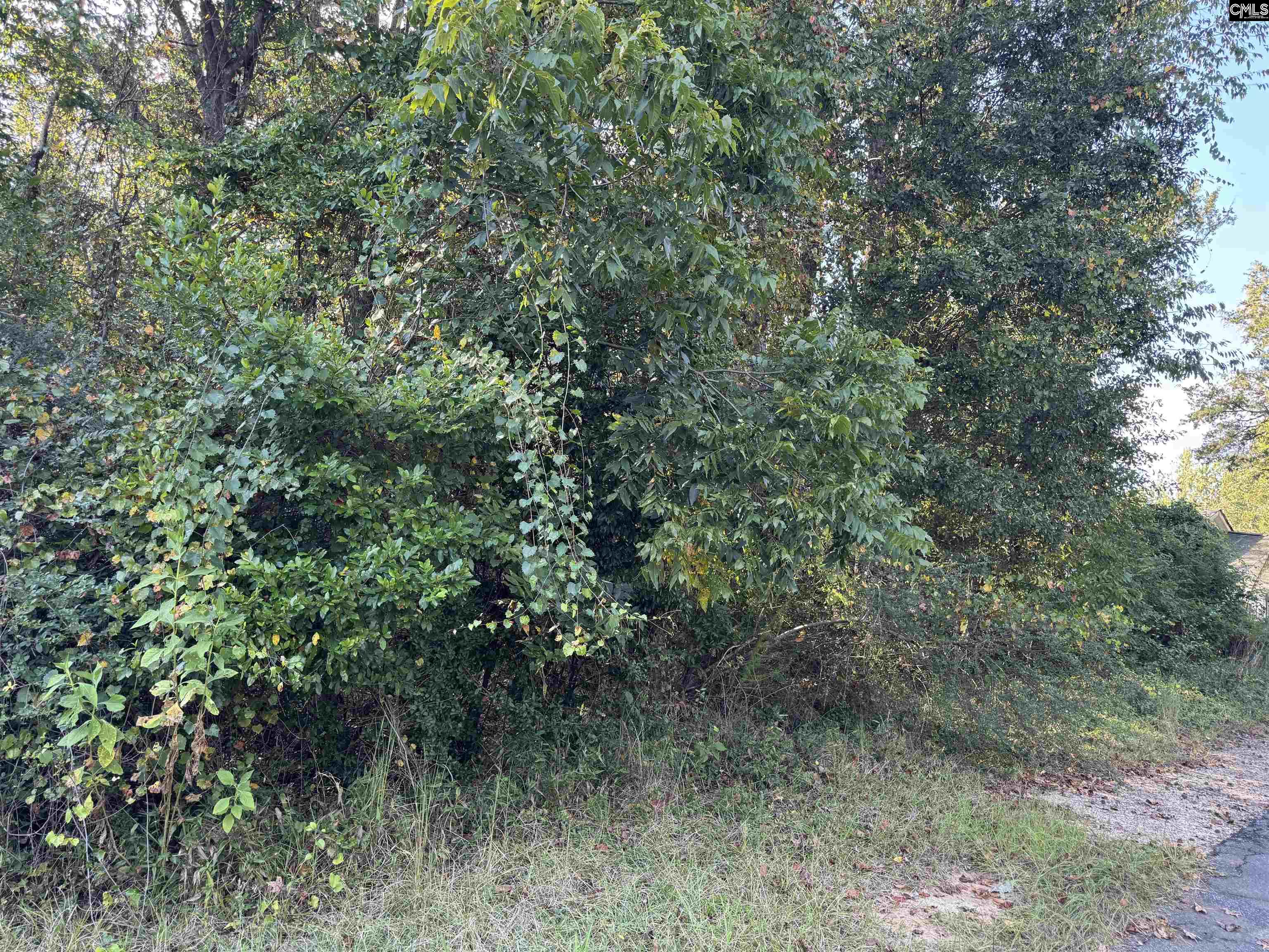 000 Quattlebaum Avenue Ridge Spring, SC 29129