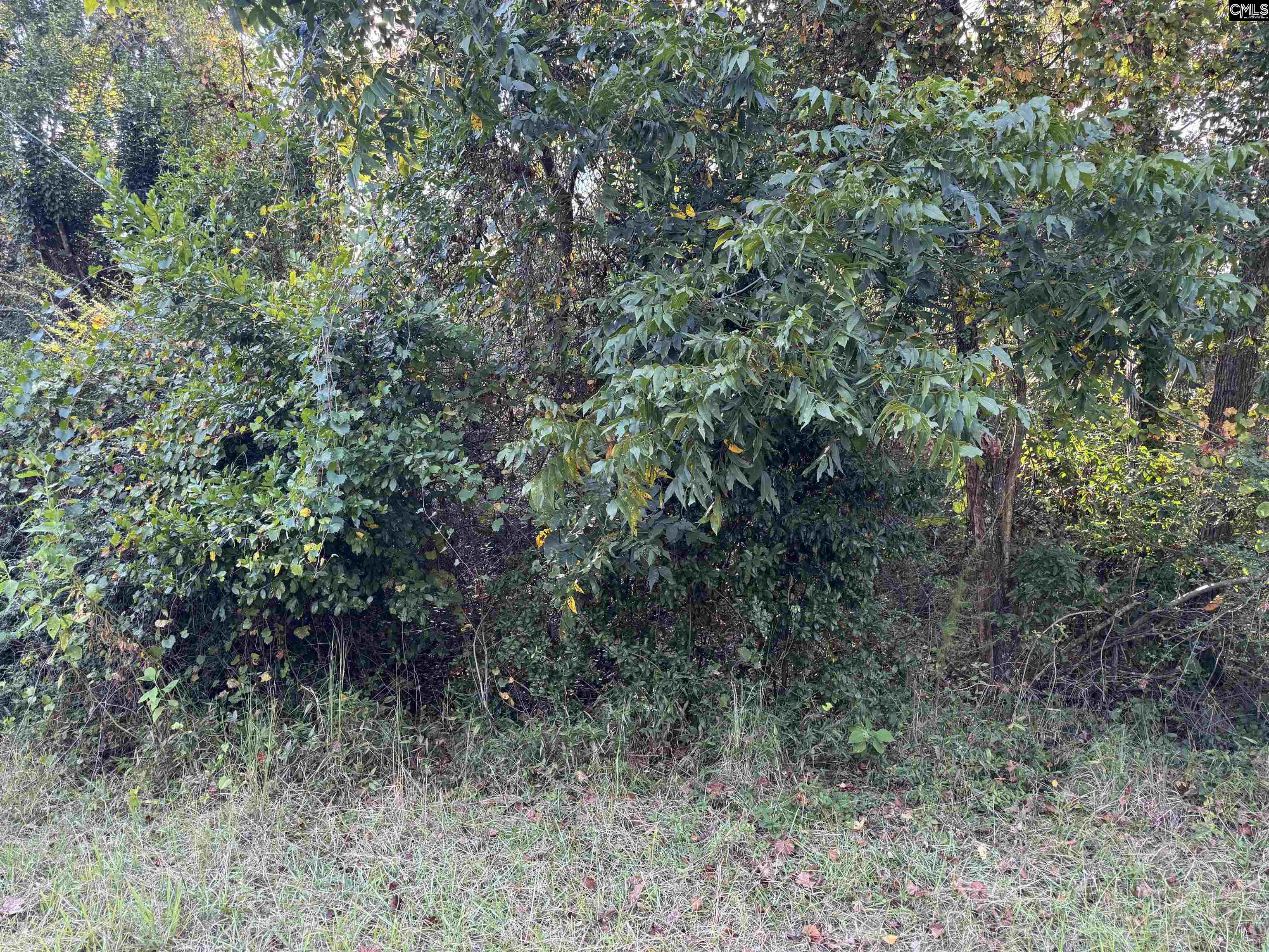 000 Quattlebaum Avenue Ridge Spring, SC 29129