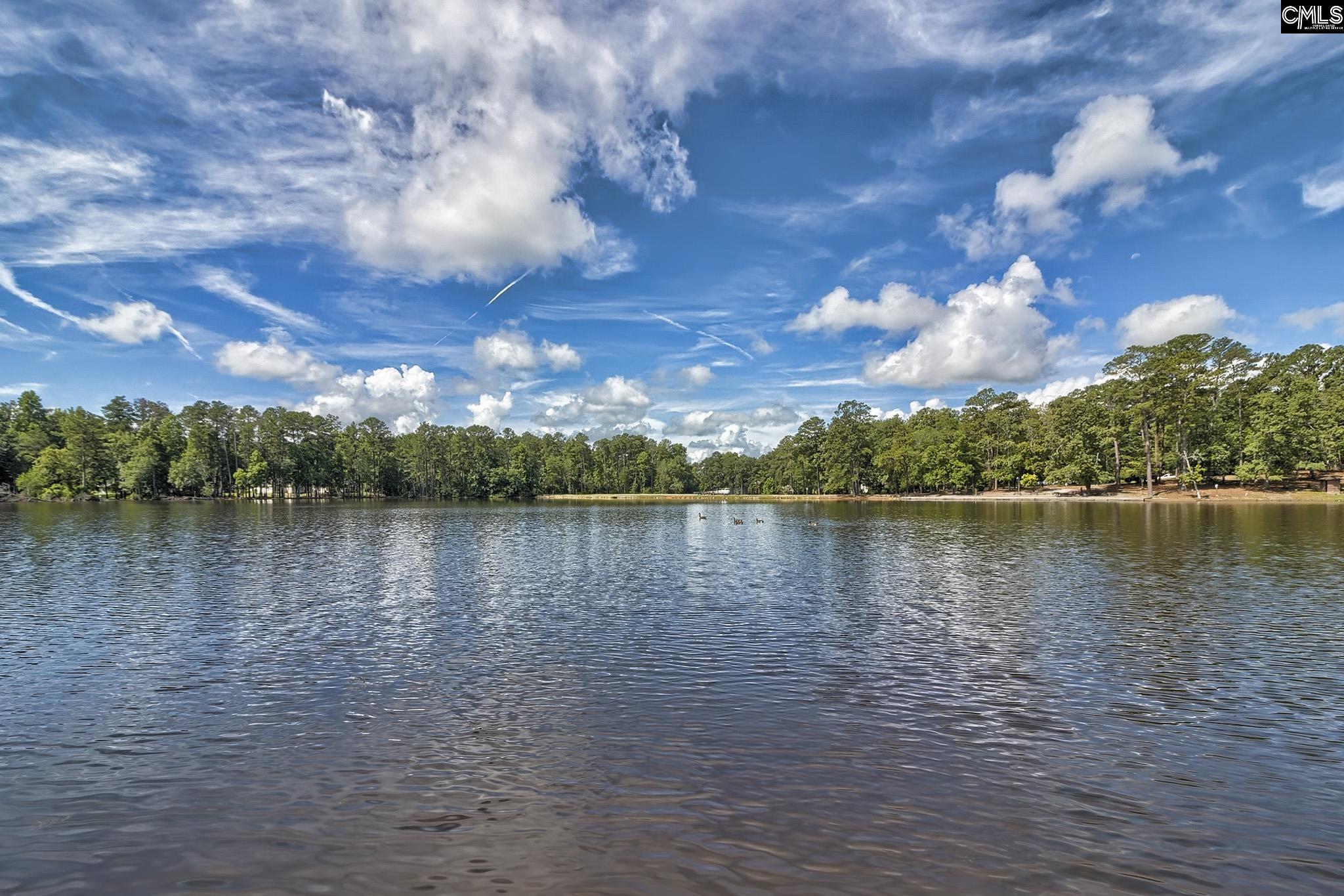 Image 96