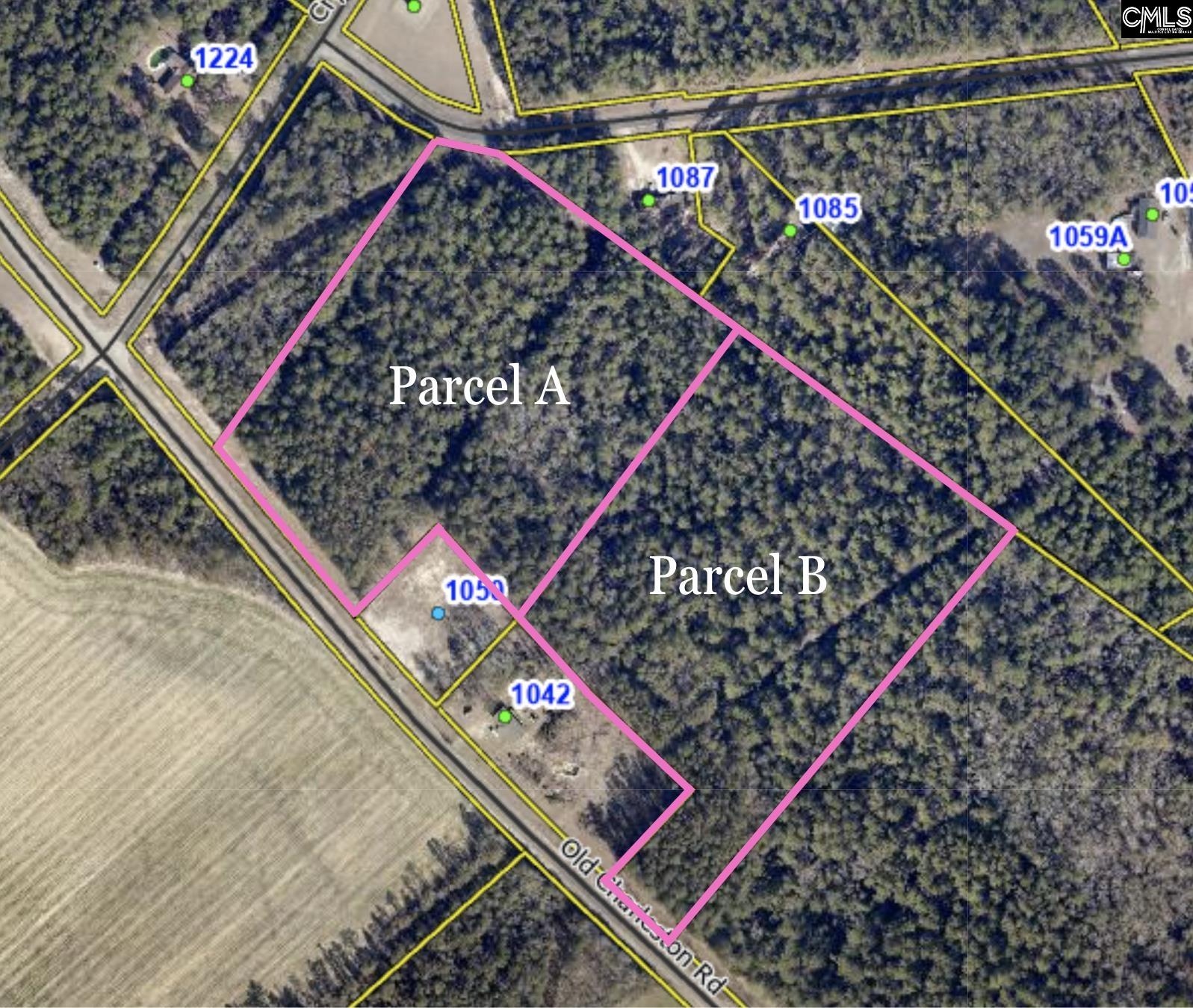 Tbd Old Charleston Road Pelion, SC 29213