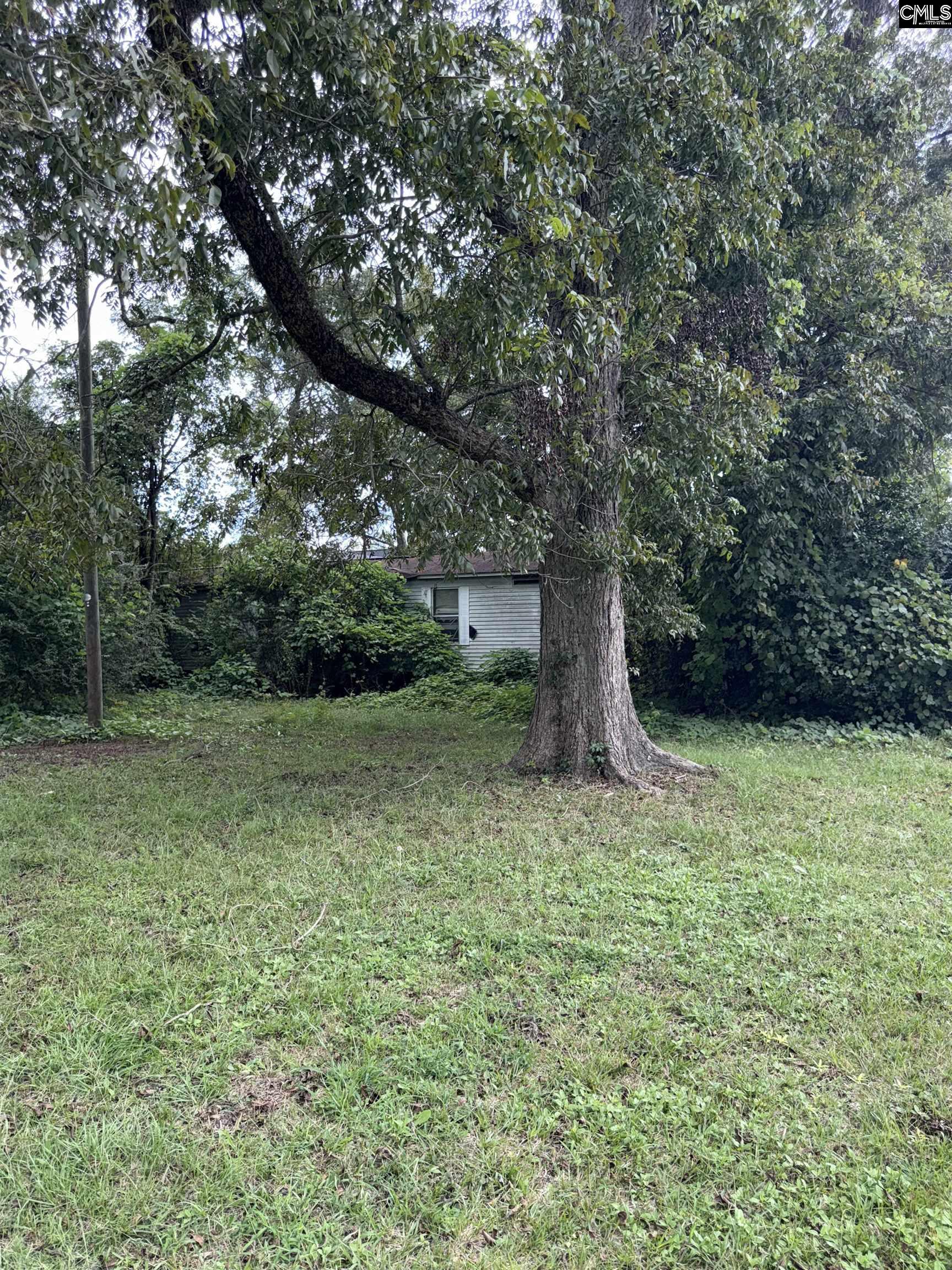 323 Railroad Avenue Branchville, SC 29432