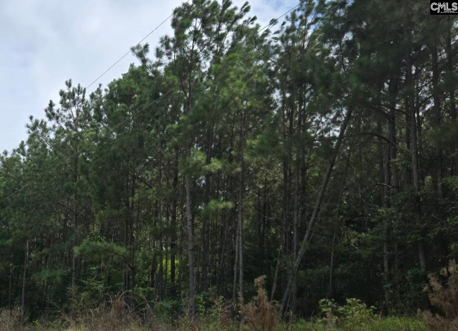 Lot L C Old Edgefield Road Ninety Six, SC 29138