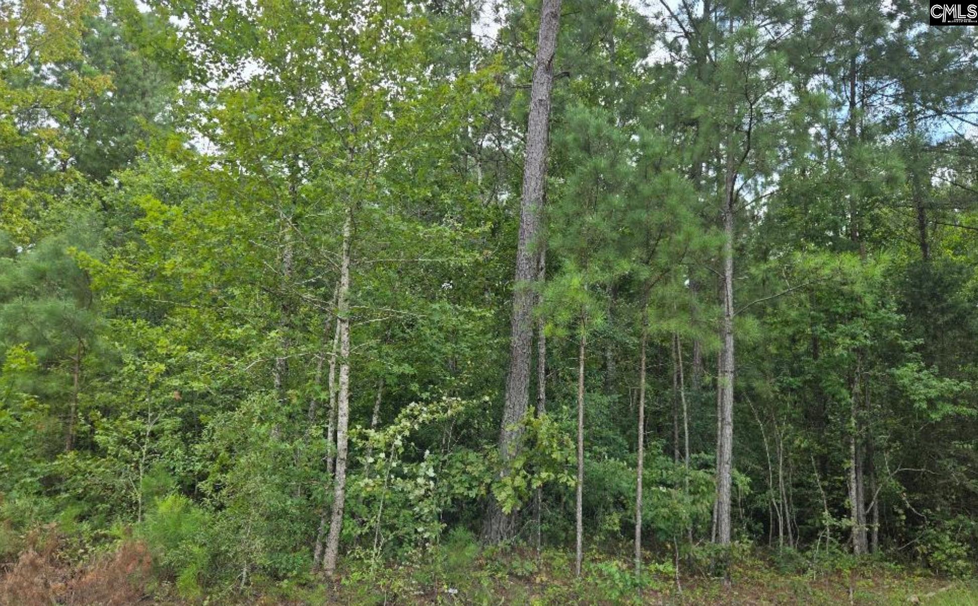 Lot L C Old Edgefield Road Ninety Six, SC 29138