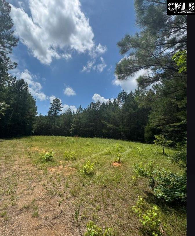 Lot L C Old Edgefield Road Ninety Six, SC 29138