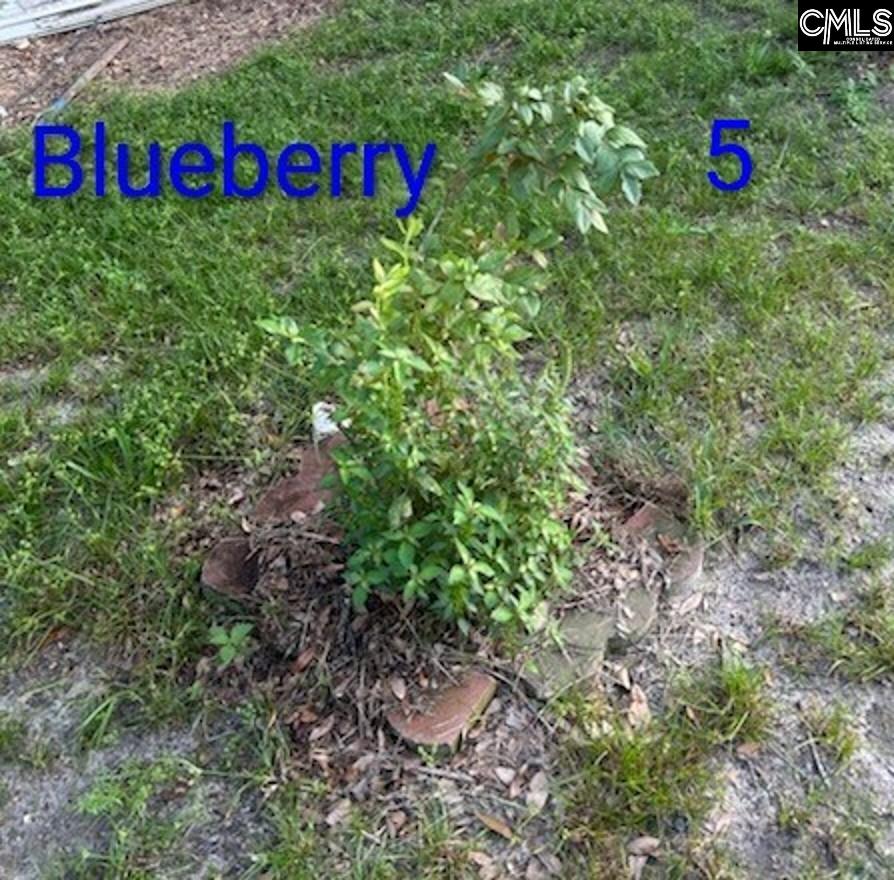 Image 44