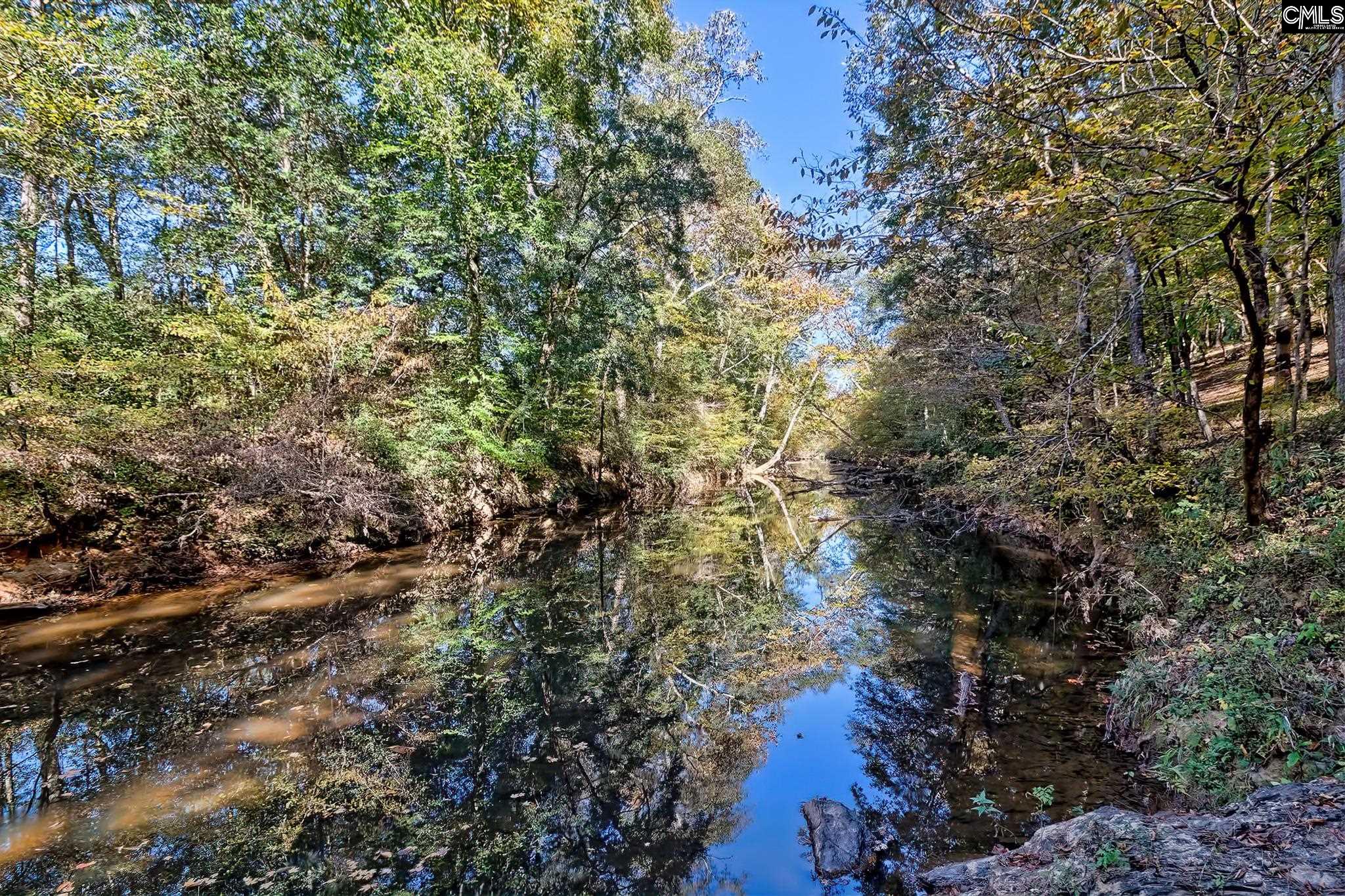 230 Cedar Shoals Way Blythewood, SC 29016-8455