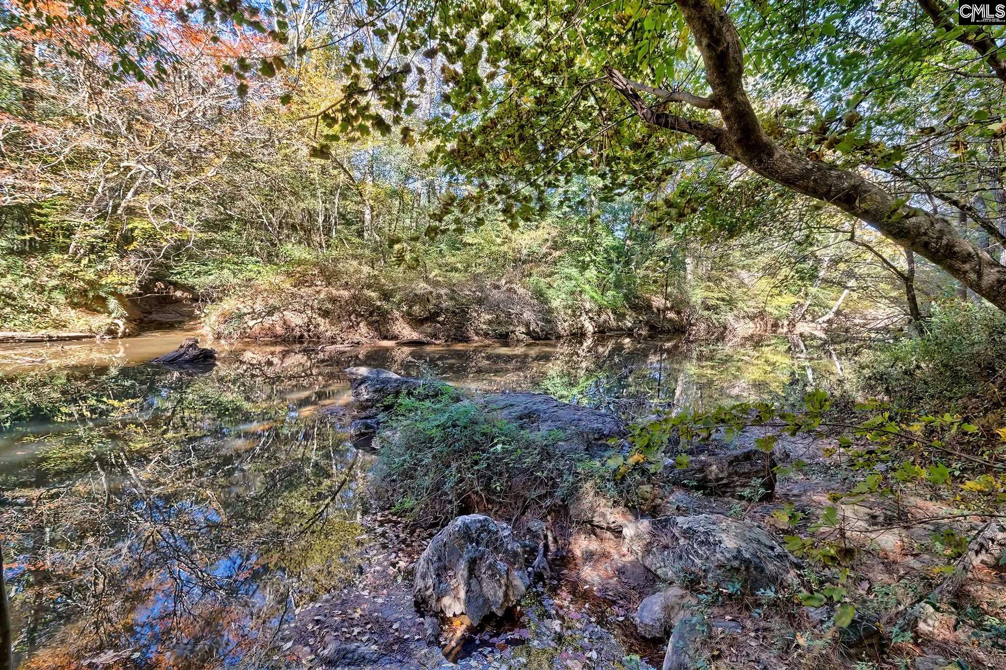 230 Cedar Shoals Way Blythewood, SC 29016-8455